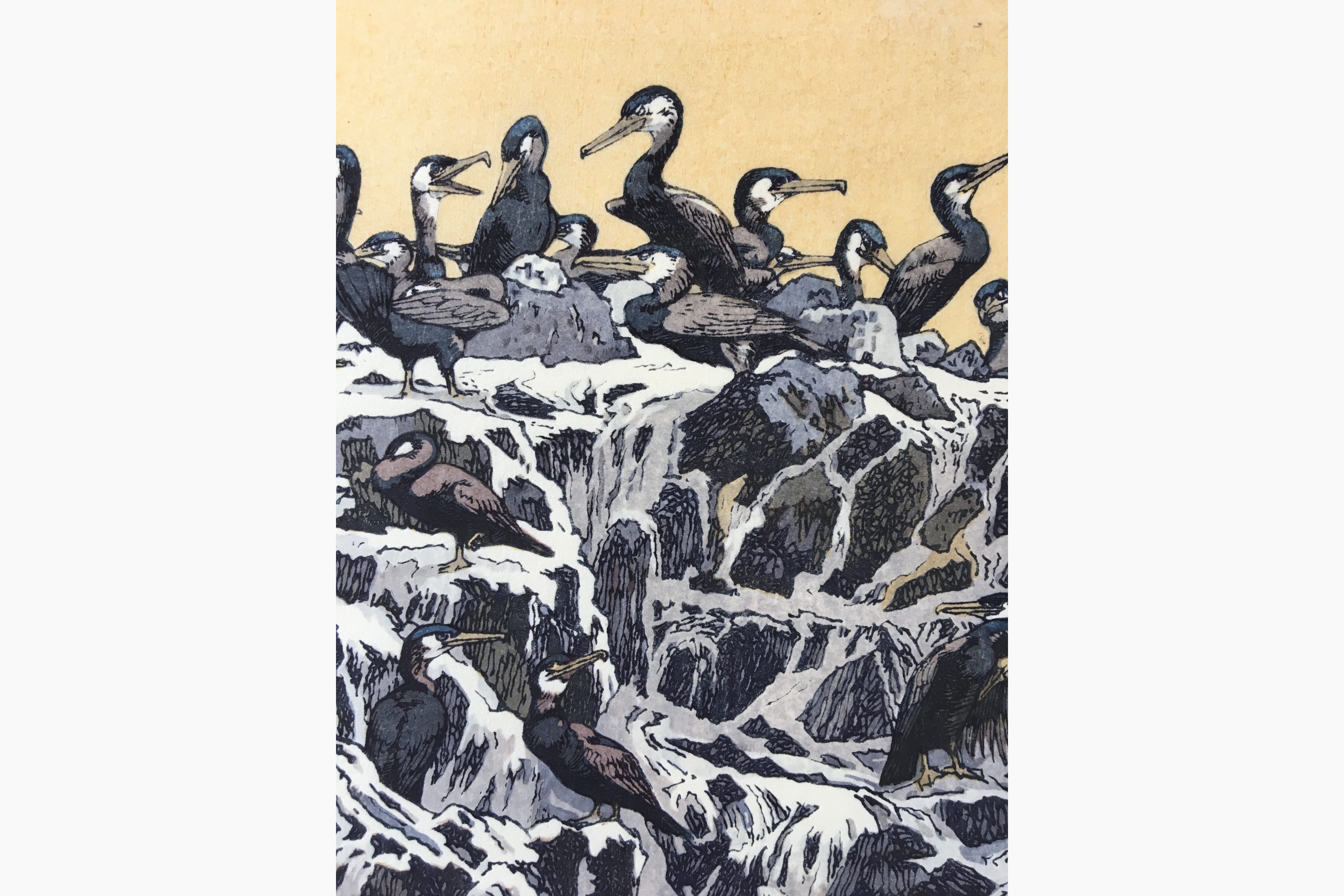 Japanese print - Toshi Yoshida - Cormorant Island