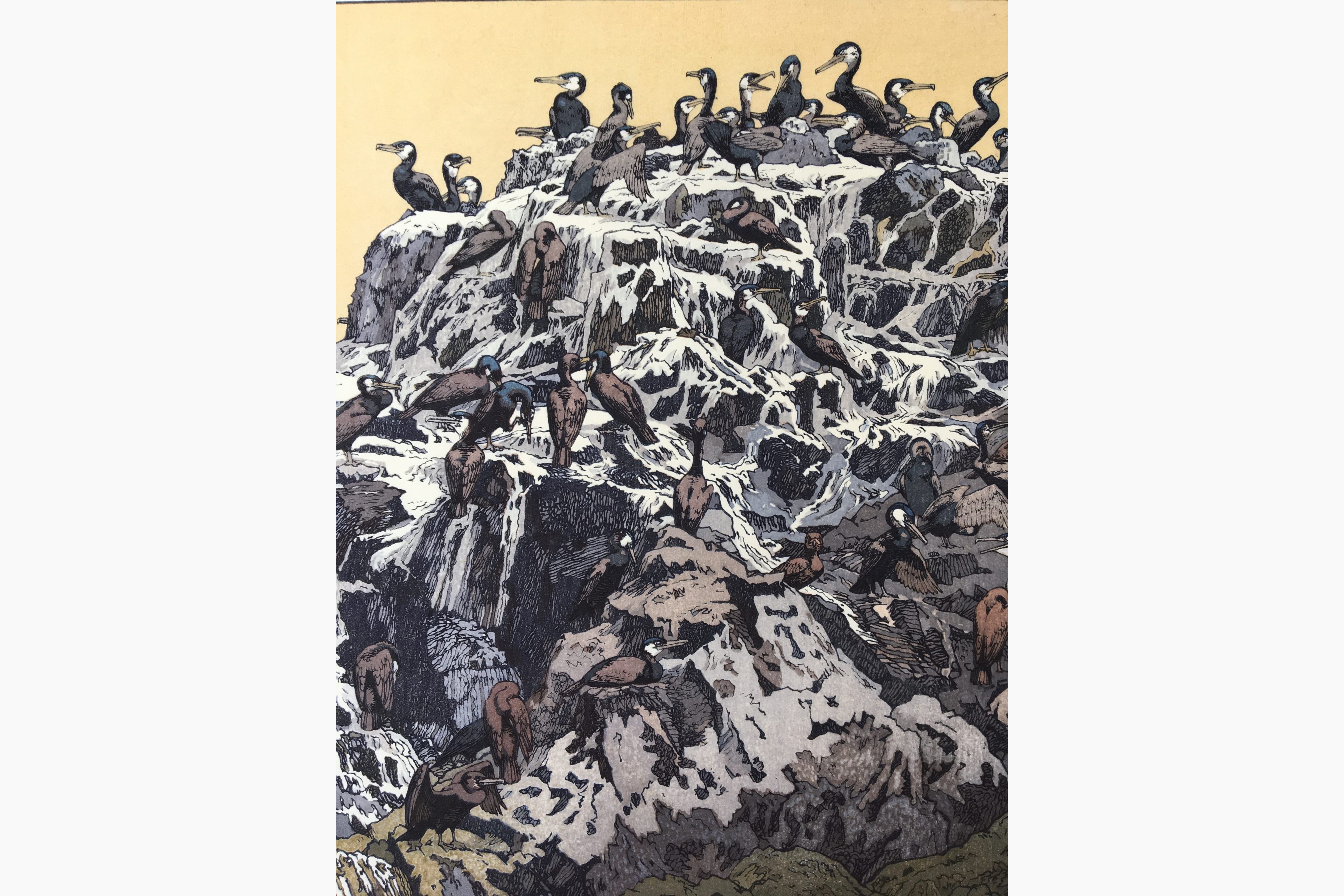 Japanese woodcut - Toshi Yoshida - Cormorant Island