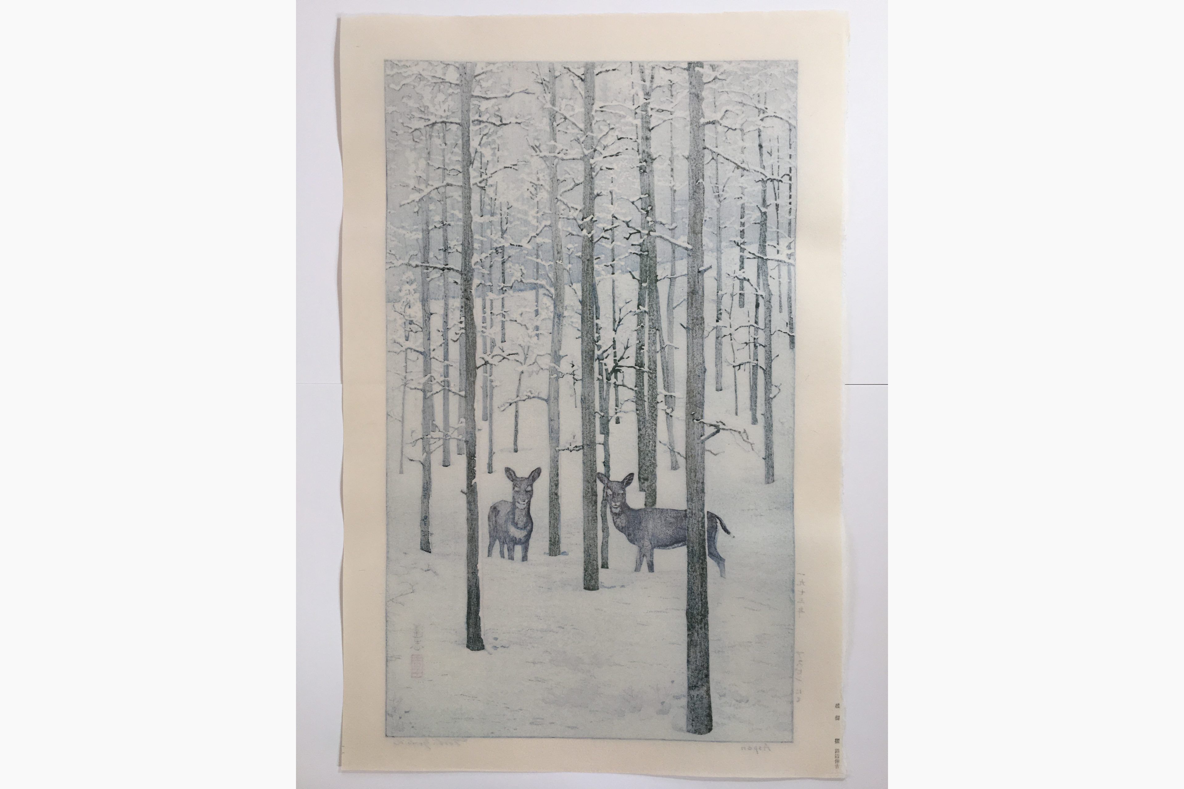 Japanischen Druckgrafik - Toshi Yoshida - Aspen nite
