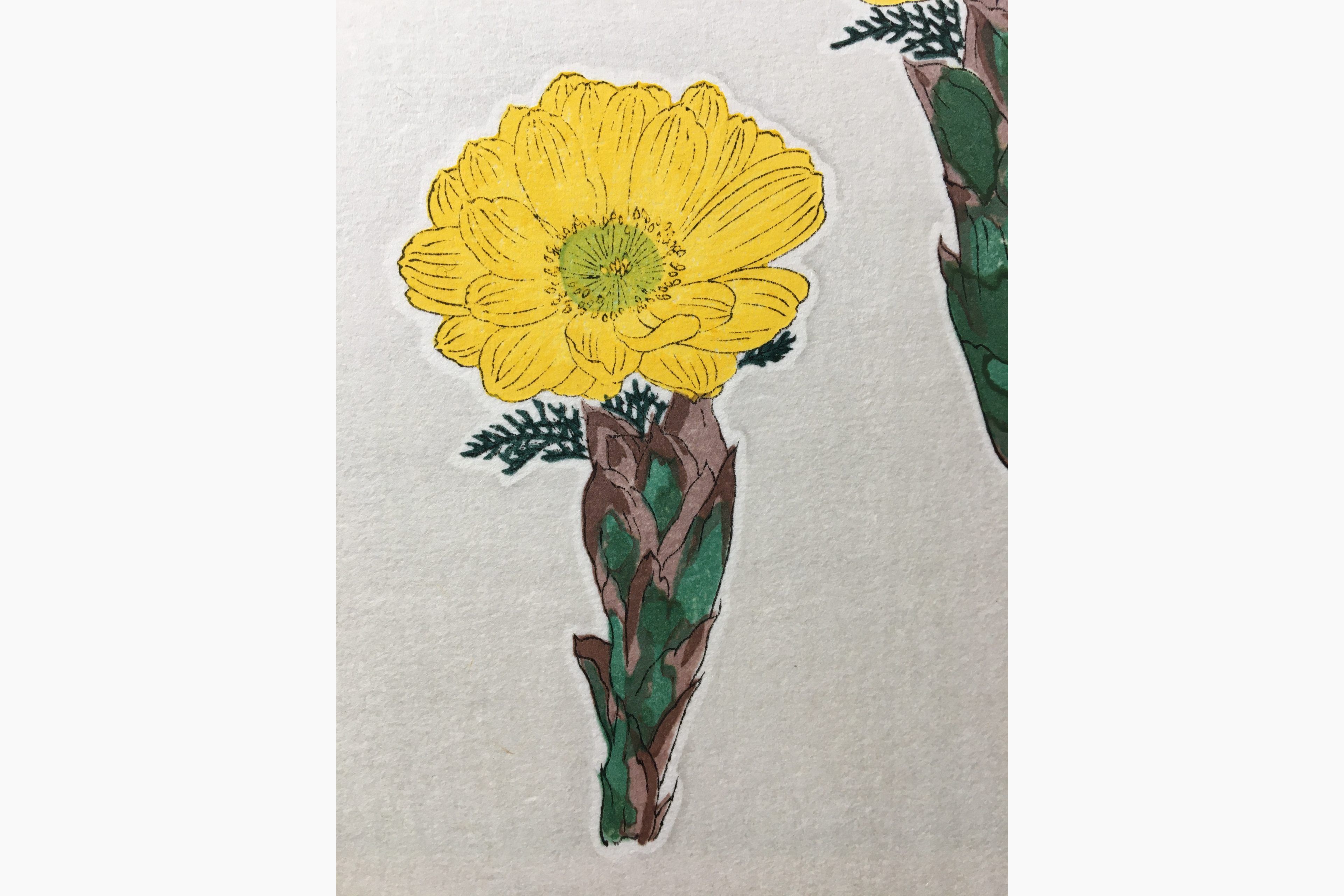 Japanse blokdruk - Kawarazaki Shodo - Adonis and Bamboo
