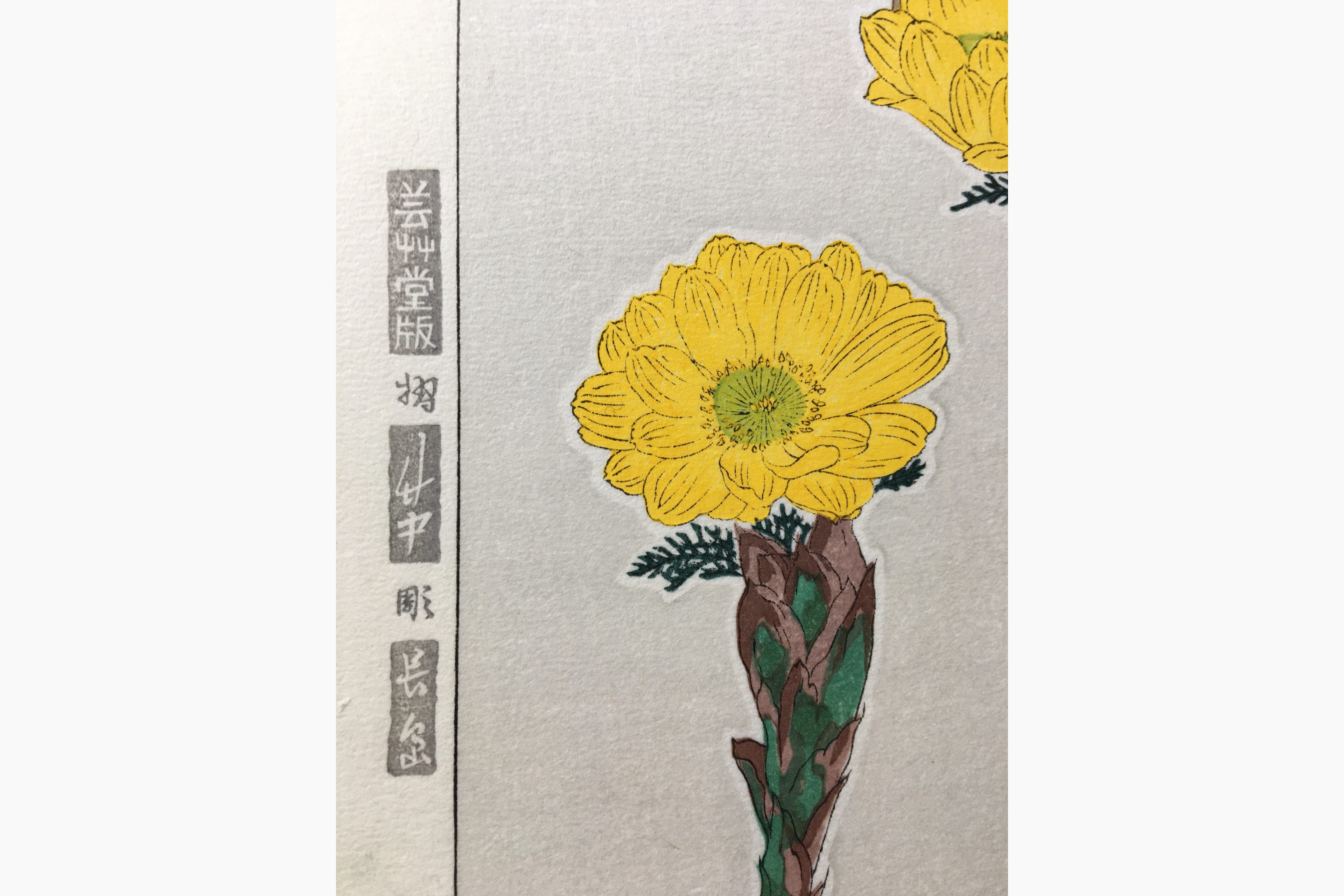 Japanse houtsnede - Kawarazaki Shodo - Fukujyuso