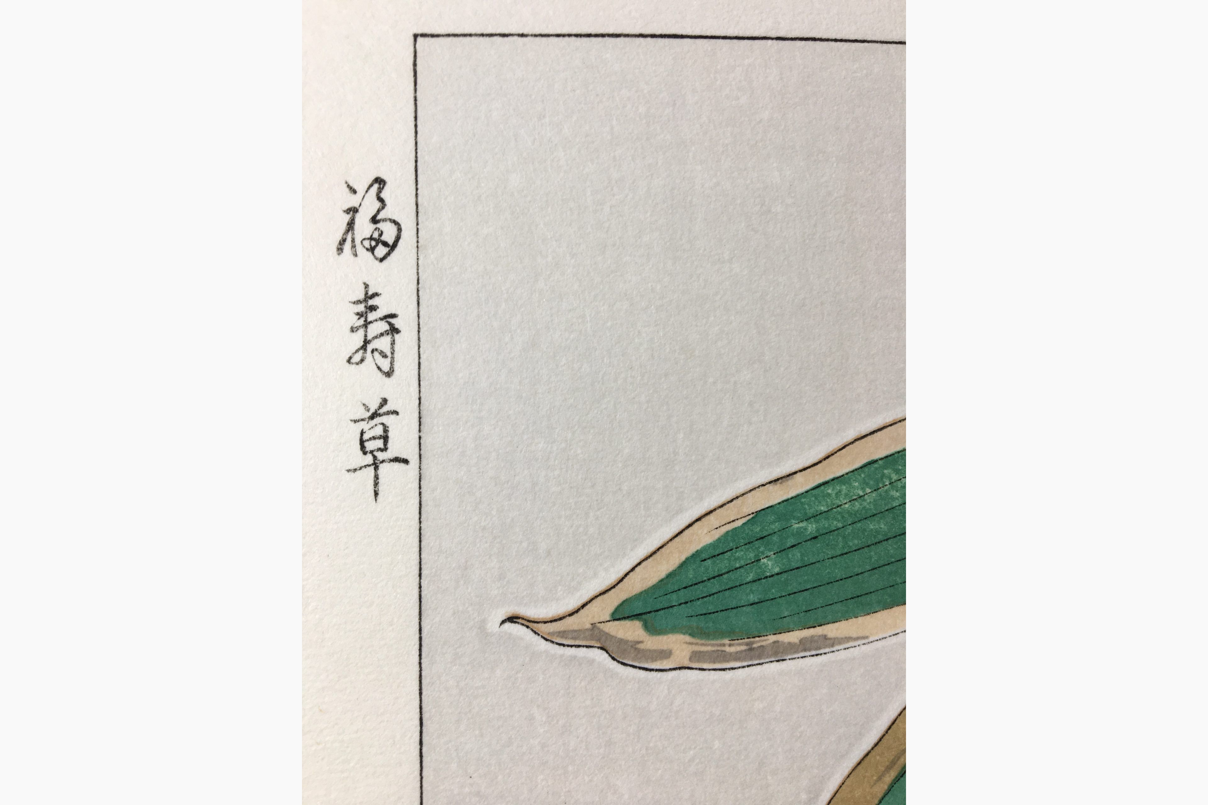 Japanse houtsnede - Kawarazaki Shodo - Fukujyuso