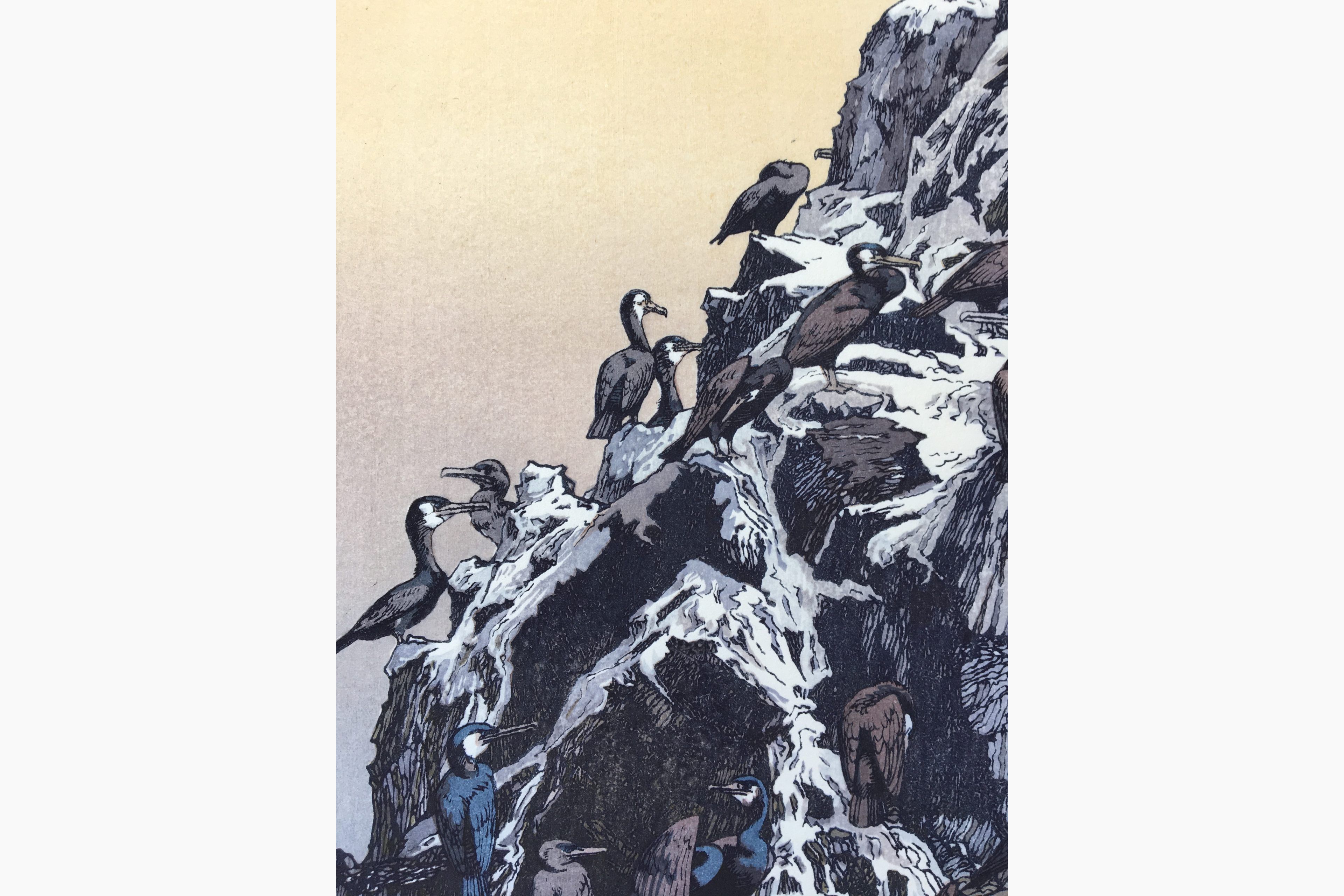 Original Japanese woodblock print - Toshi Yoshida - Cormorant Island