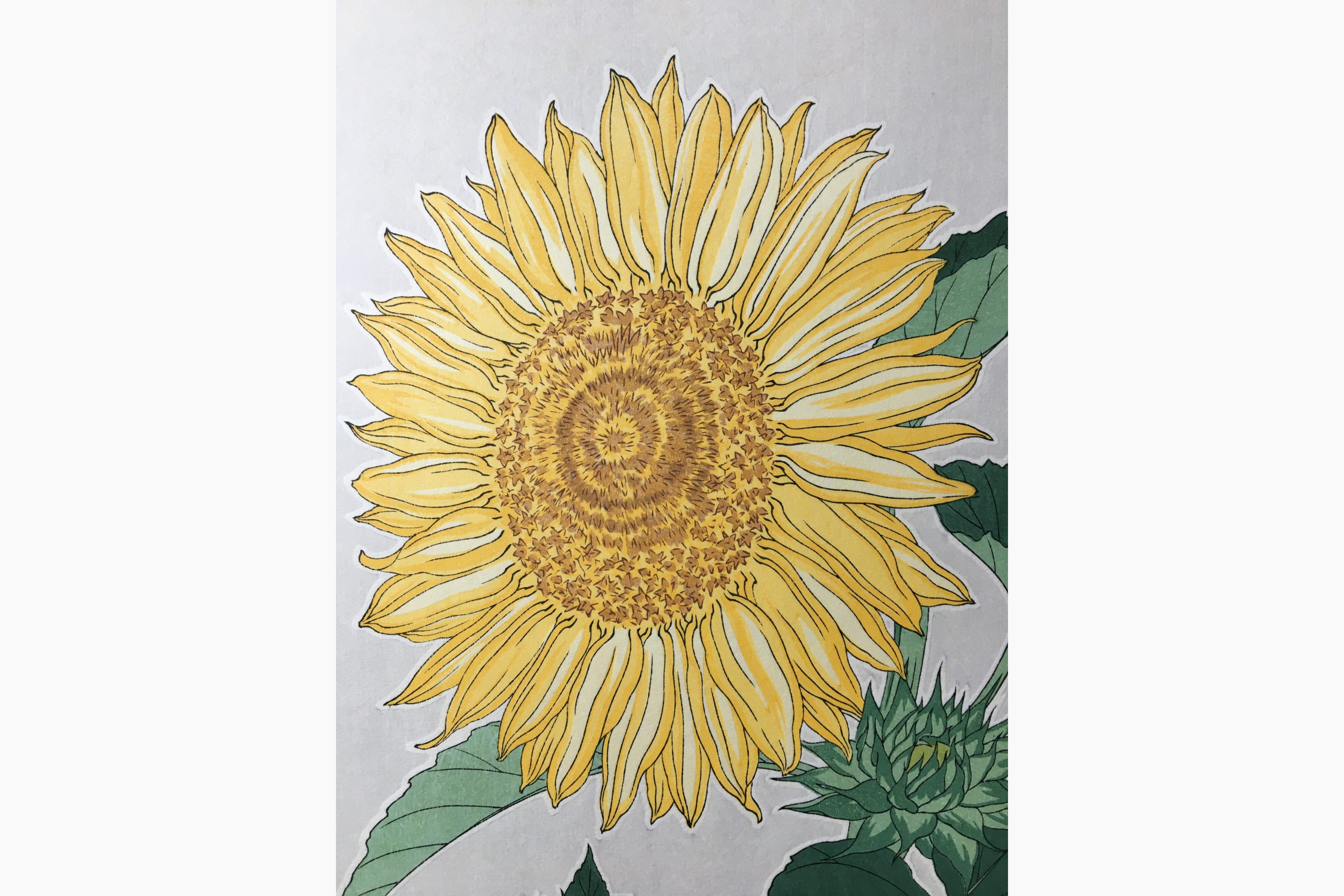 Stampe xilografiche - Kawarazaki Shodo - Sunflower