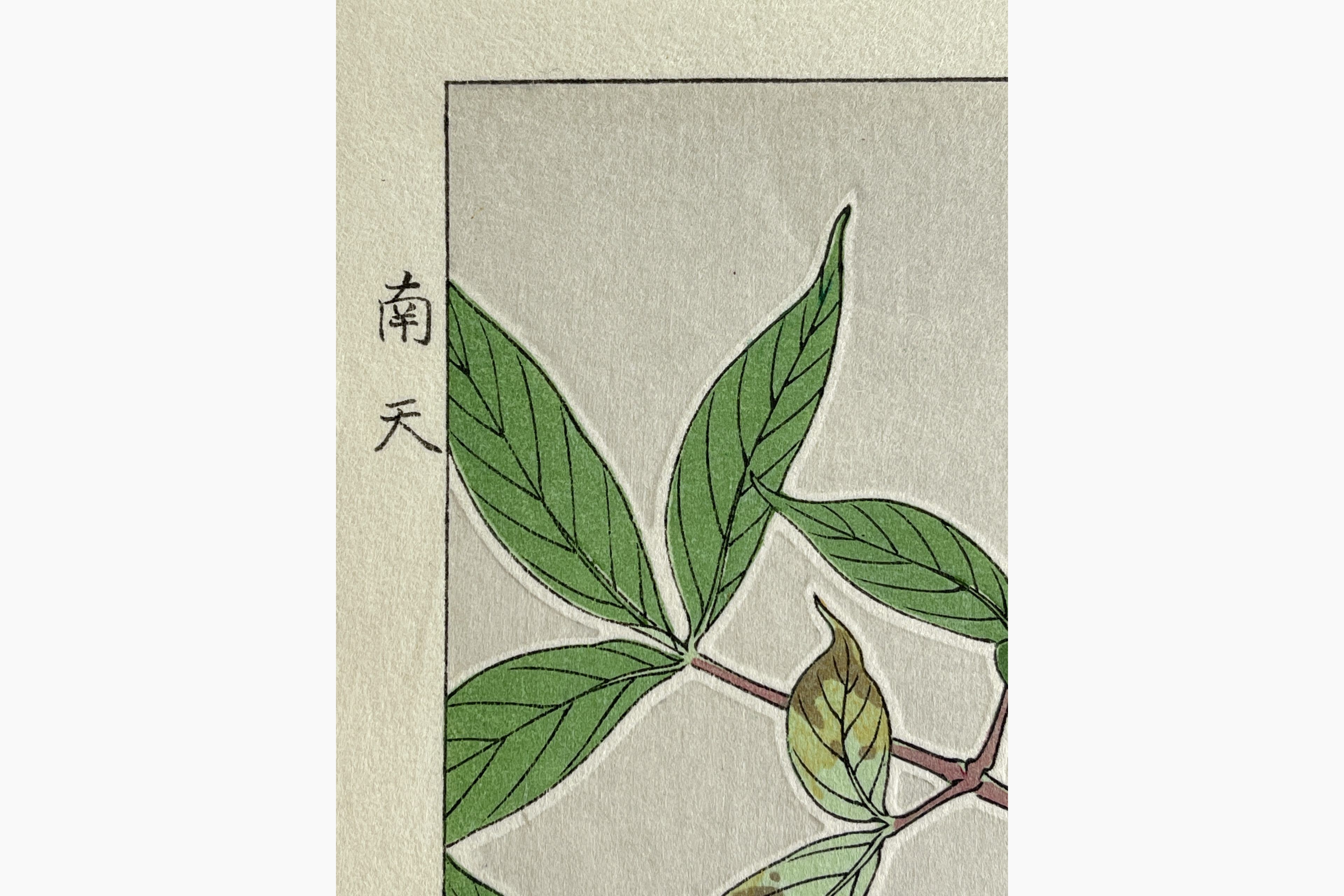 Japanese print - Kawarazaki Shodo - Nanten