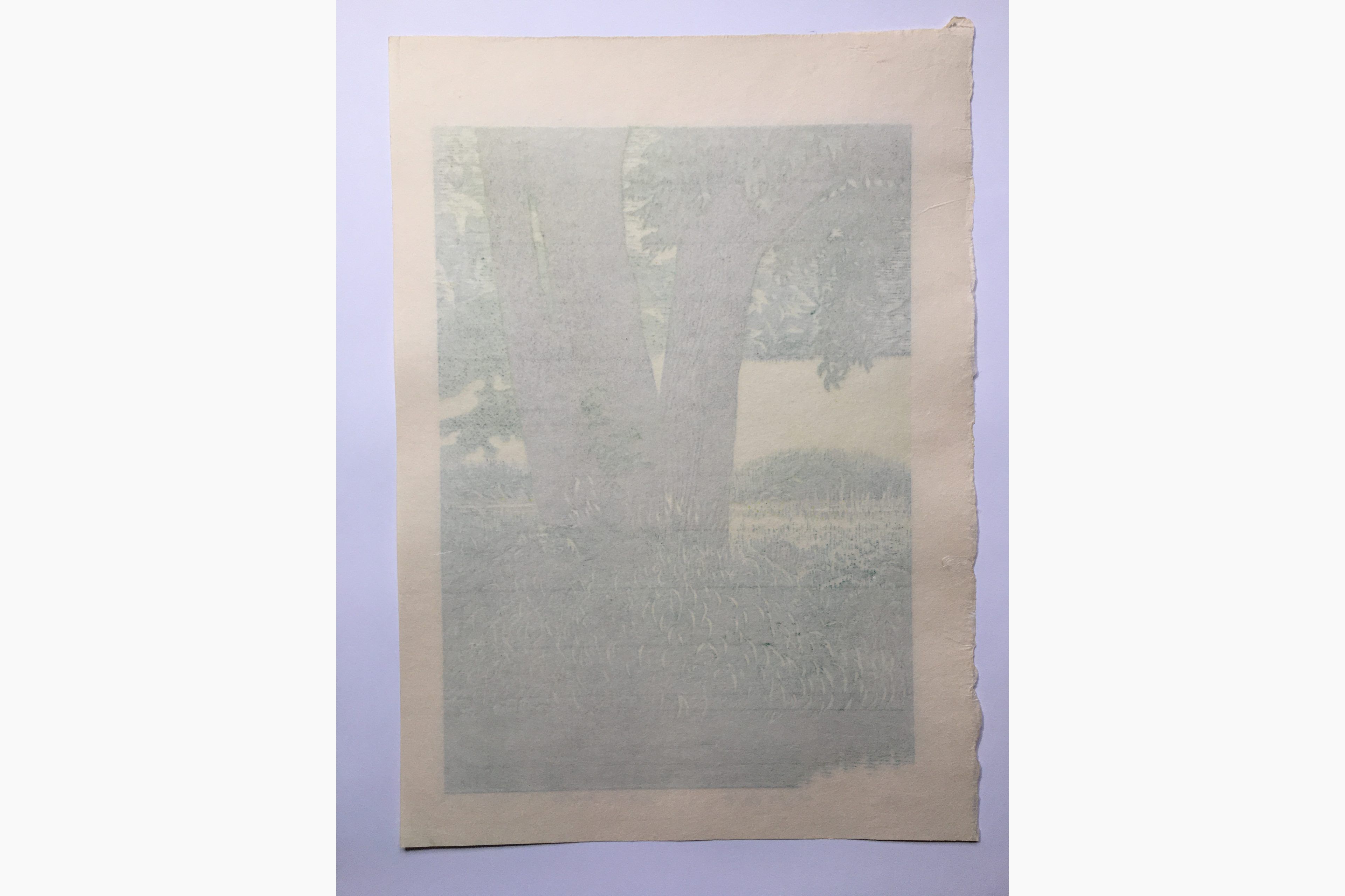 Japanese print - Maeda Koichi - Waterside and Green Shade
