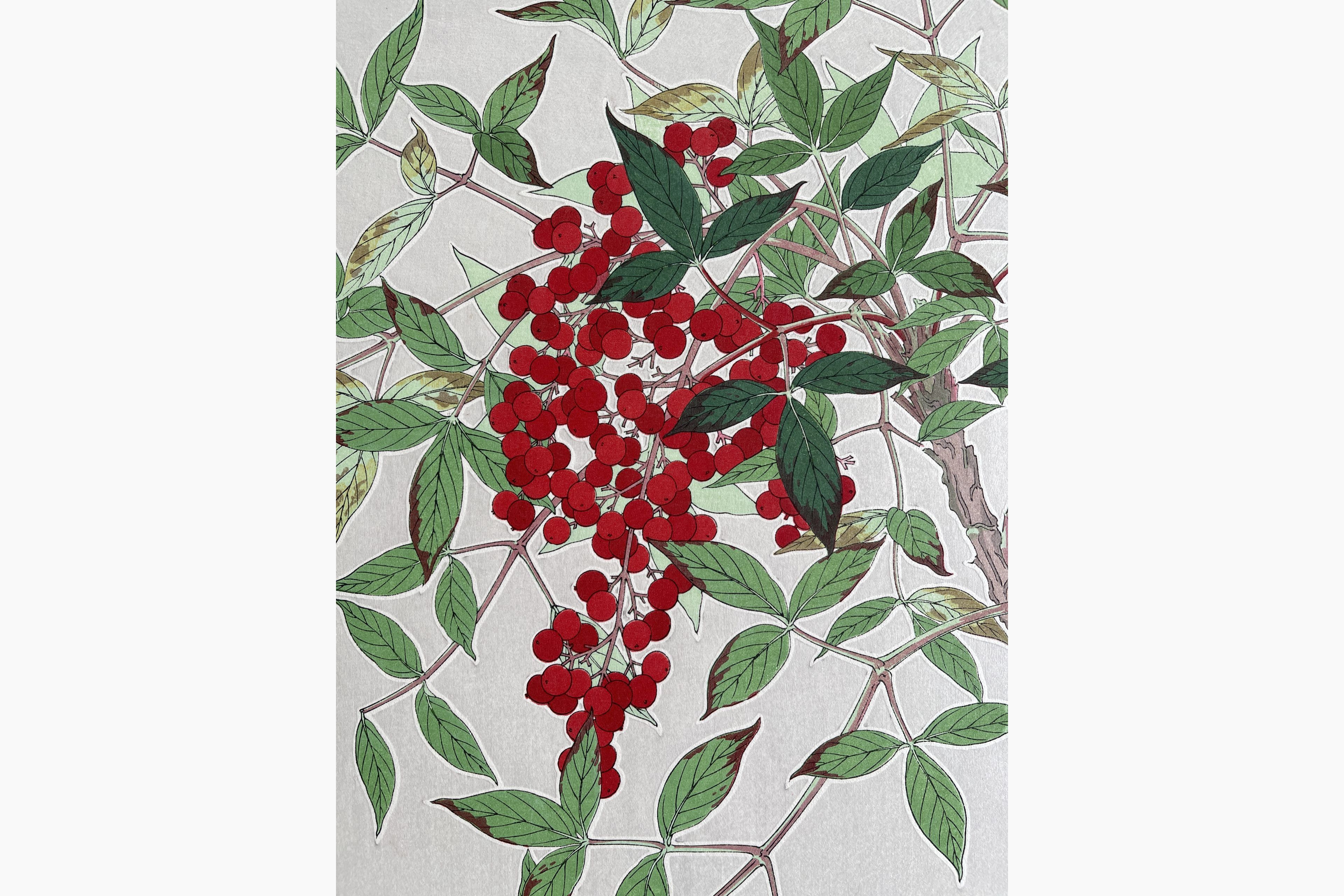 Japanese woodblock print - Kawarazaki Shodo - Nanten