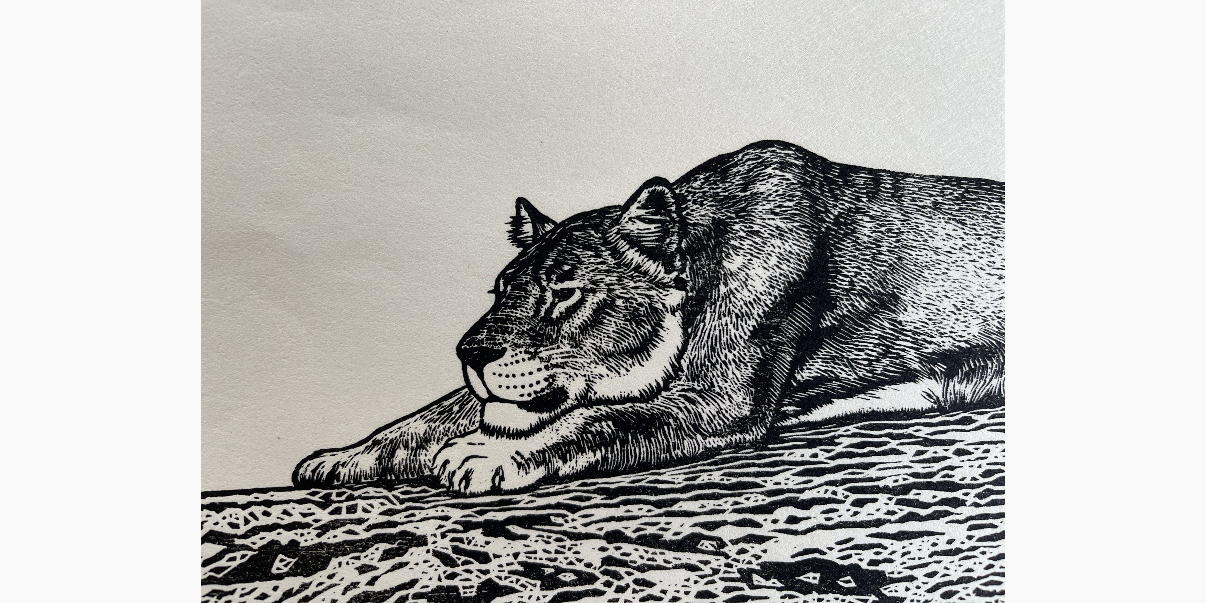 Japanese woodcut - Toshi Yoshida - Lion (female)