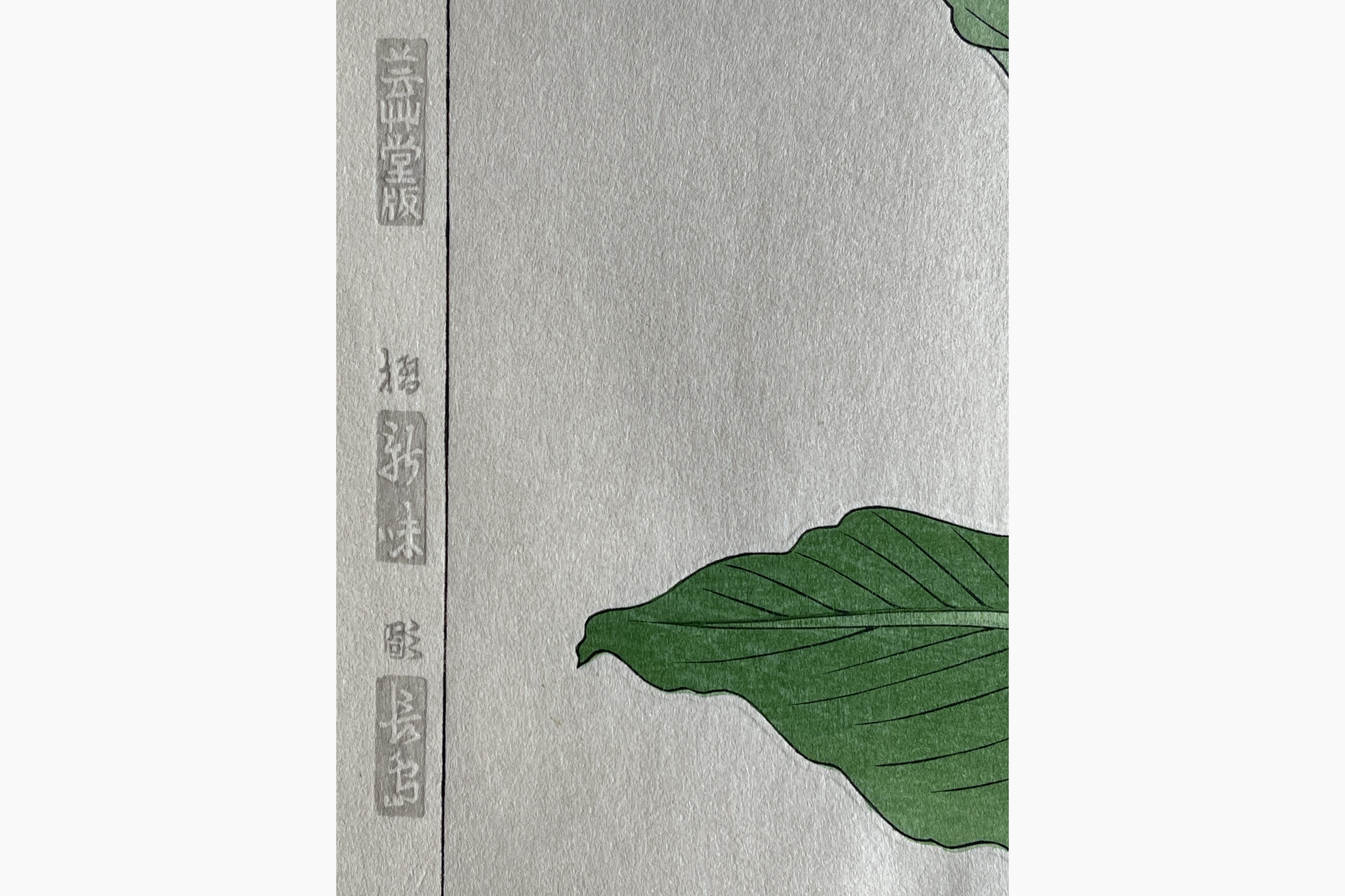 Original Japanese woodblock print - Kawarazaki Shodo - Calla lily
