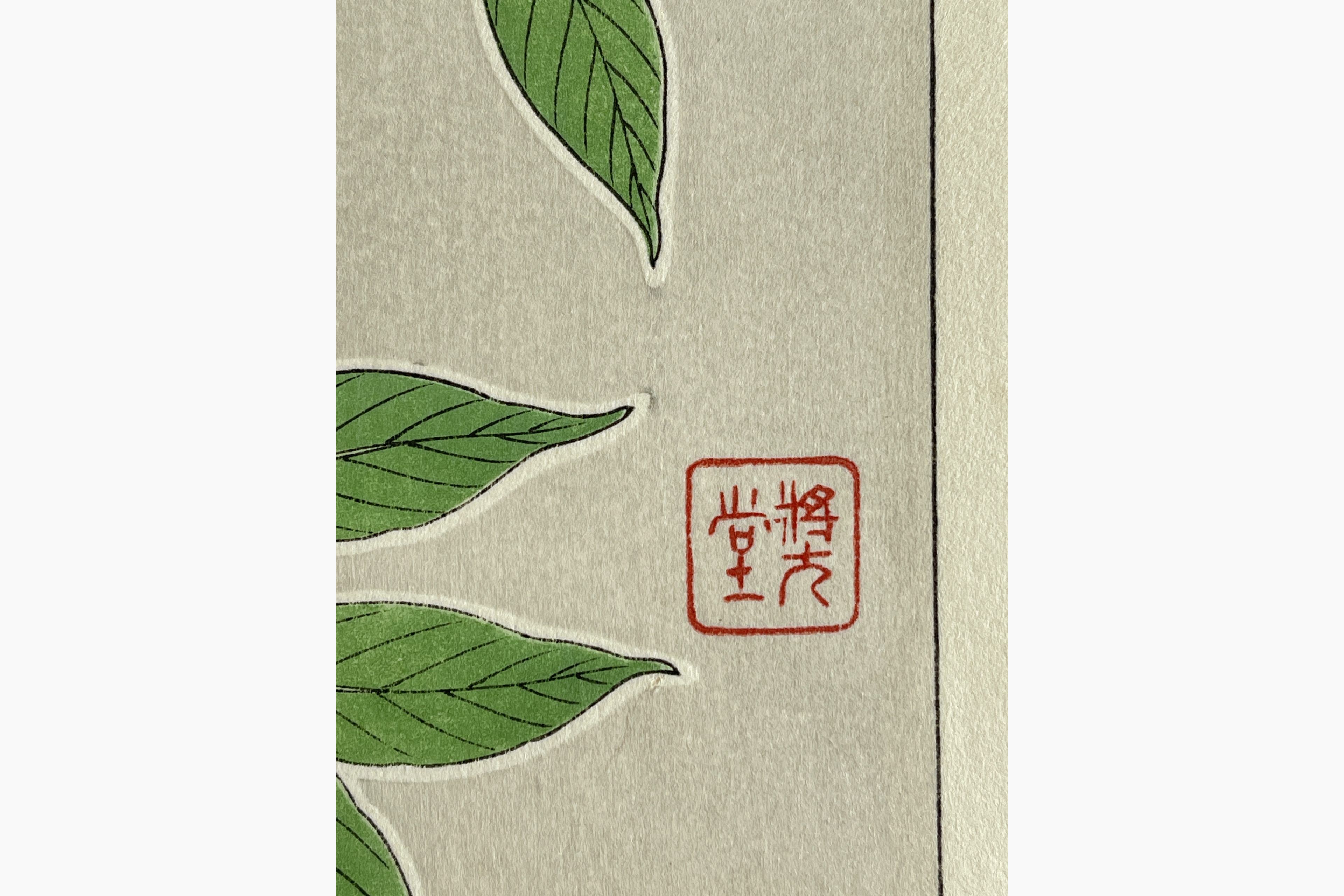 Original Japanese woodblock print - Kawarazaki Shodo - Nanten