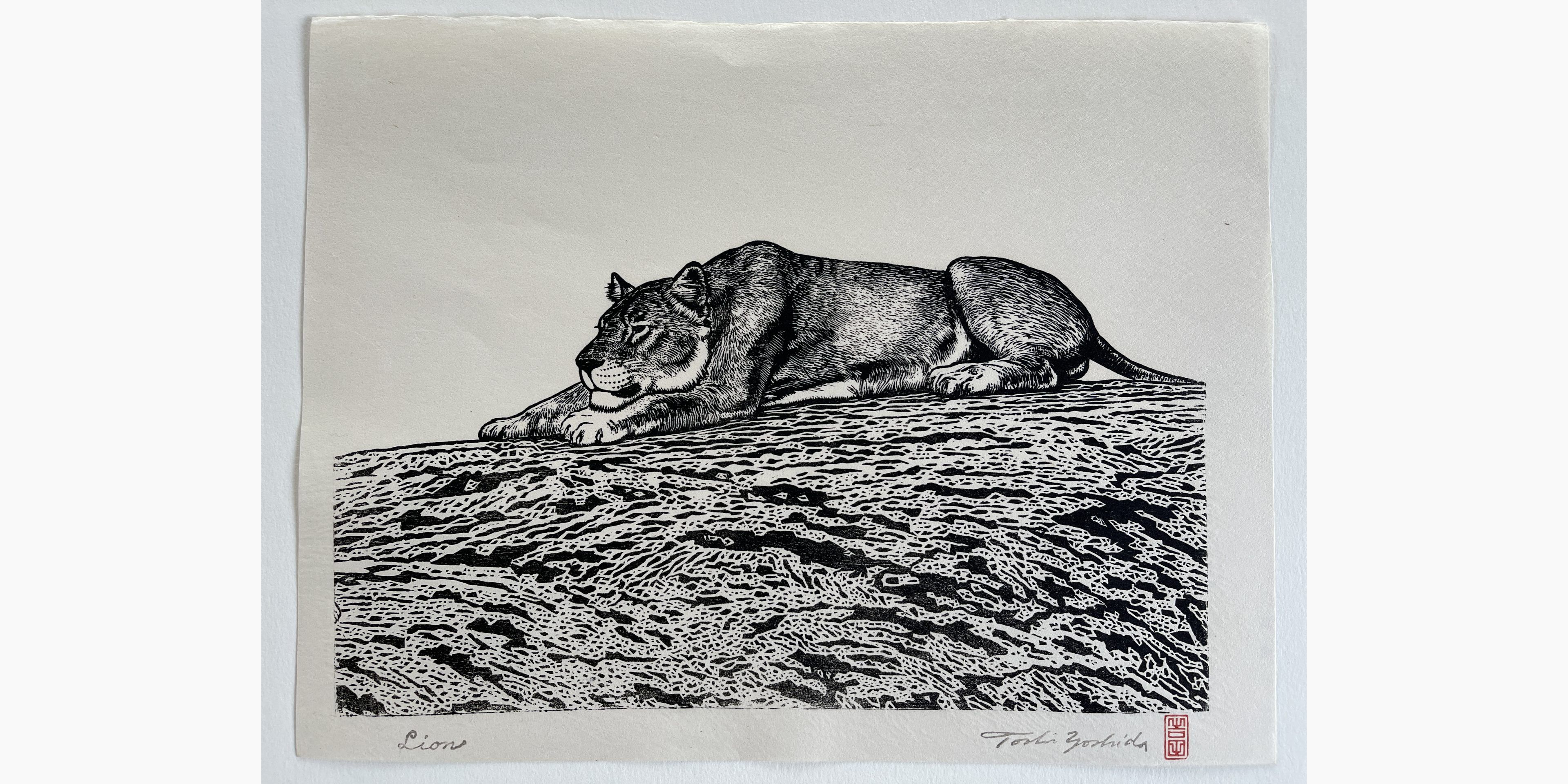 Original woodblock print - Toshi Yoshida - Lion (female)