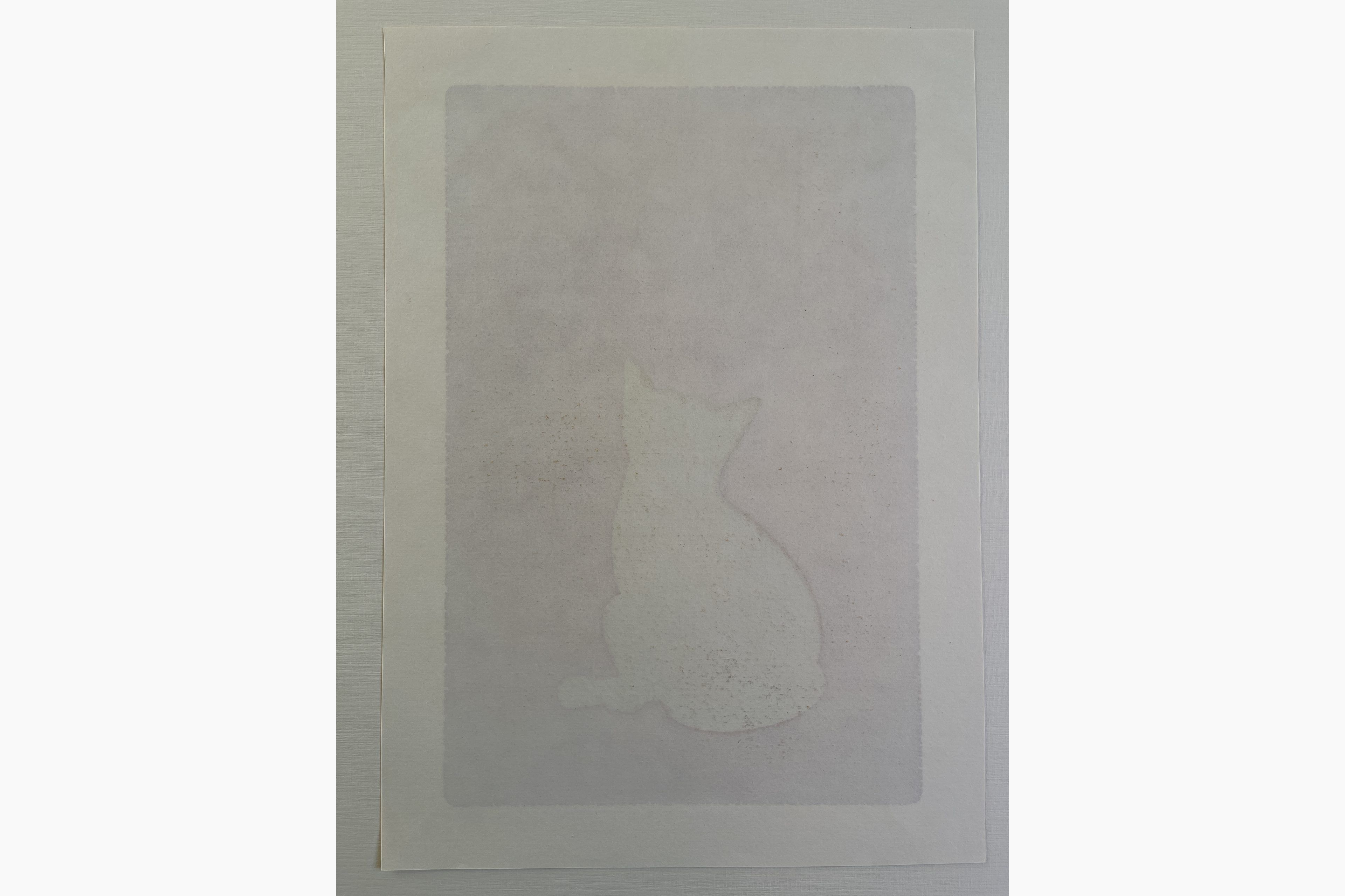 Japanese print - Nishida Tadashige - Various Reflections W2