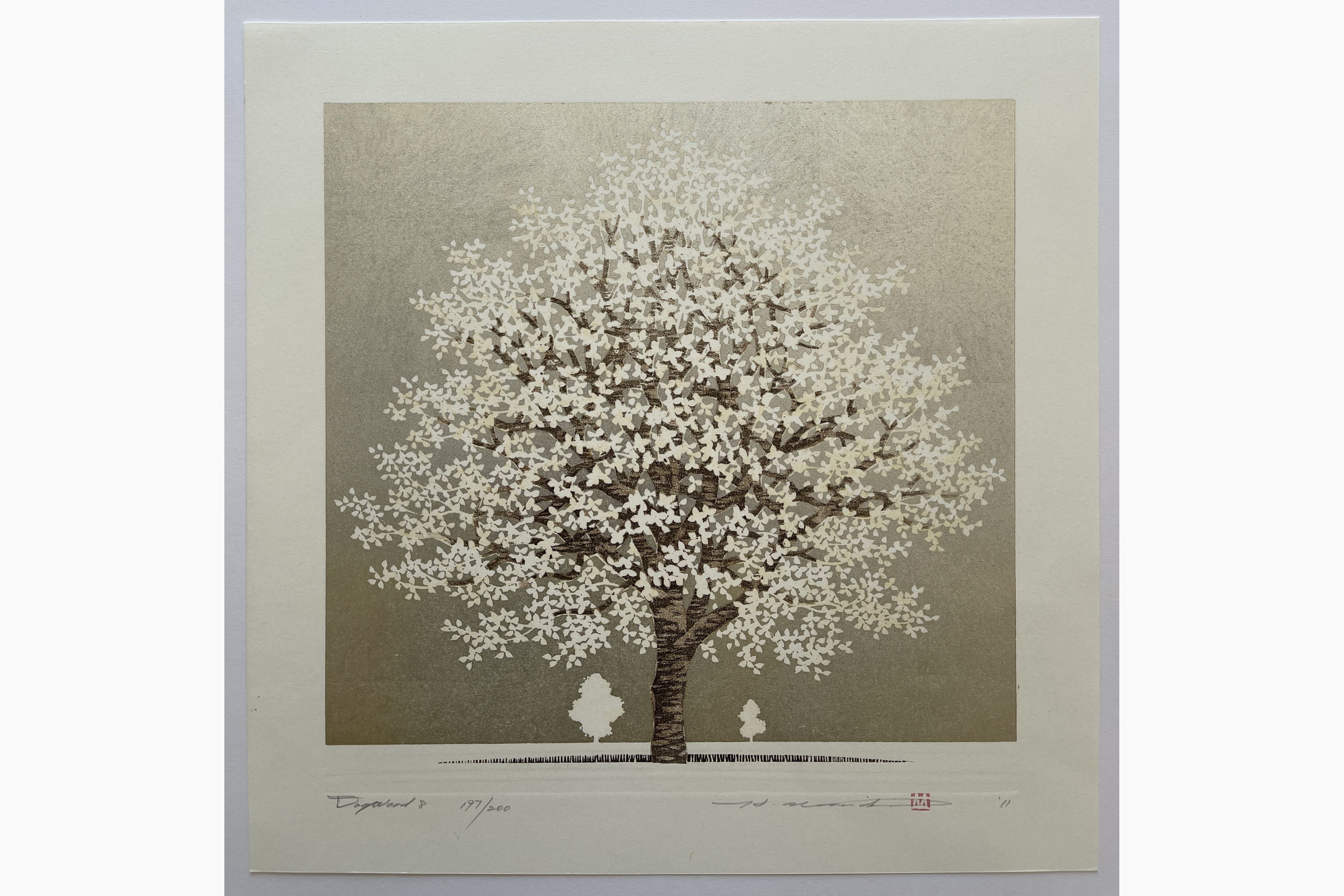 Original woodblock print - Hajime Namiki - Dogwood 8