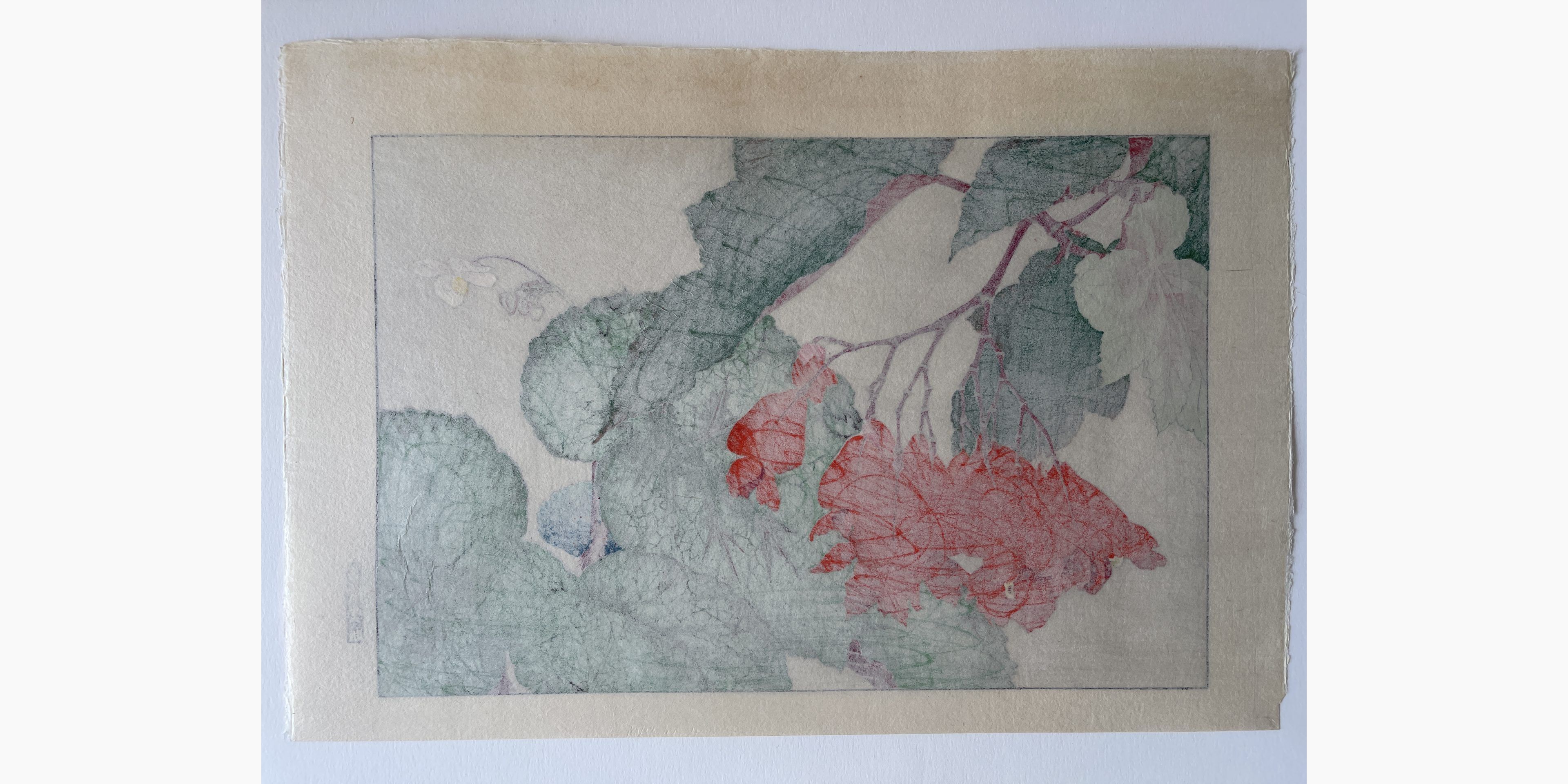Japanese print - Tanigami Konan - Begonia