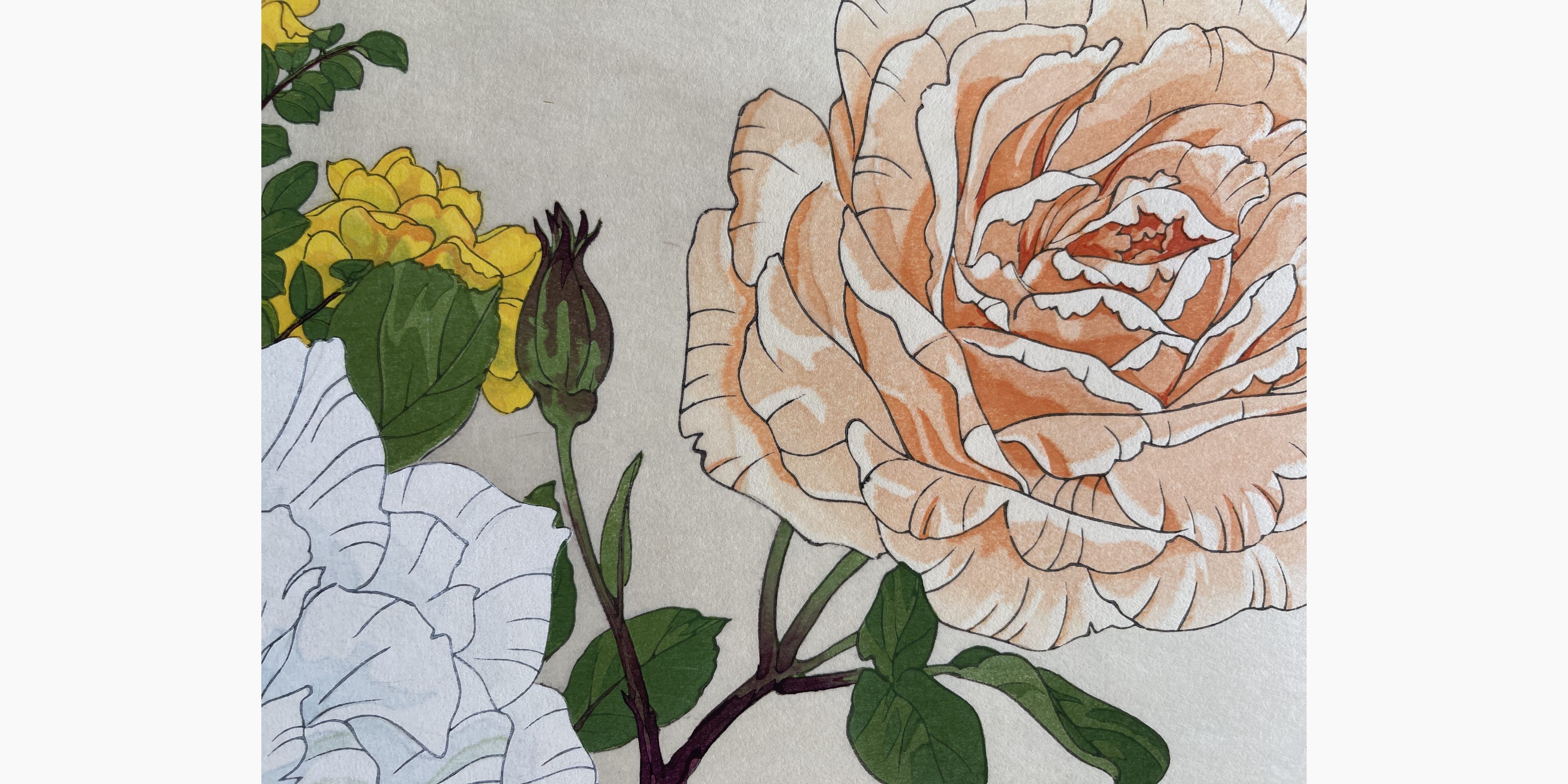 Japanese print - Tanigami Konan - Rose