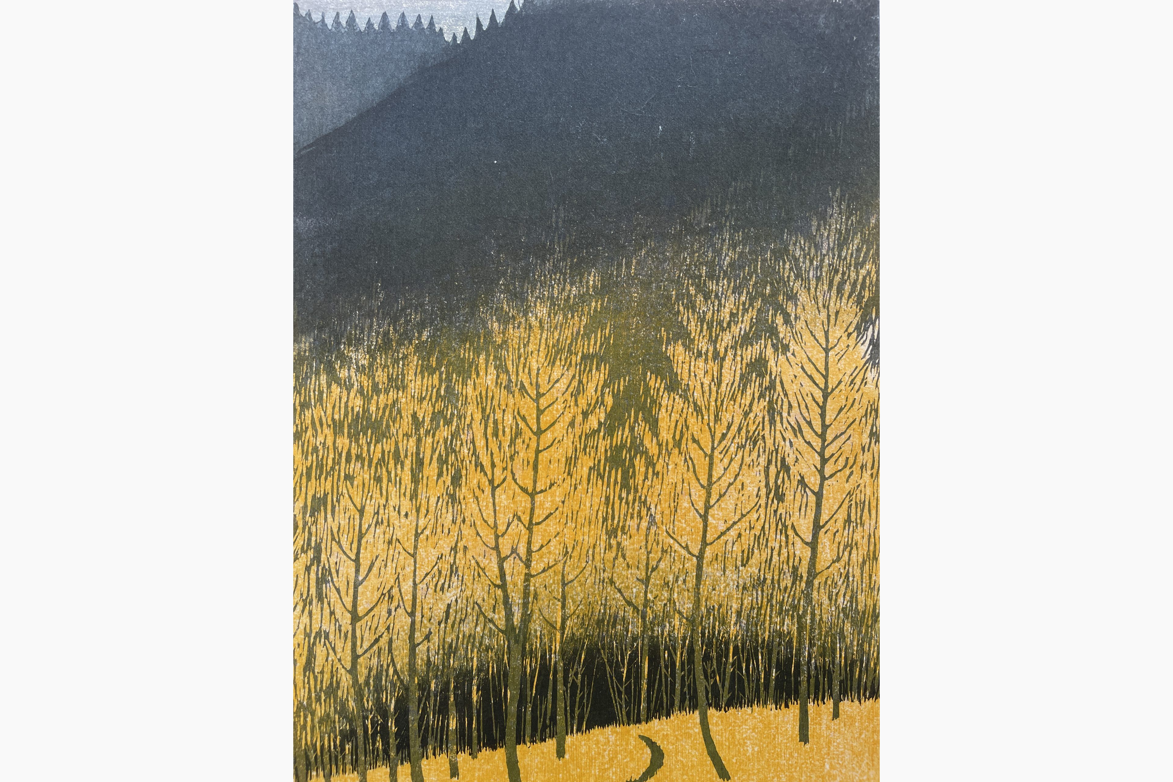 Japanese woodblock print - Kasamatsu Shiro - Mountain Shadow