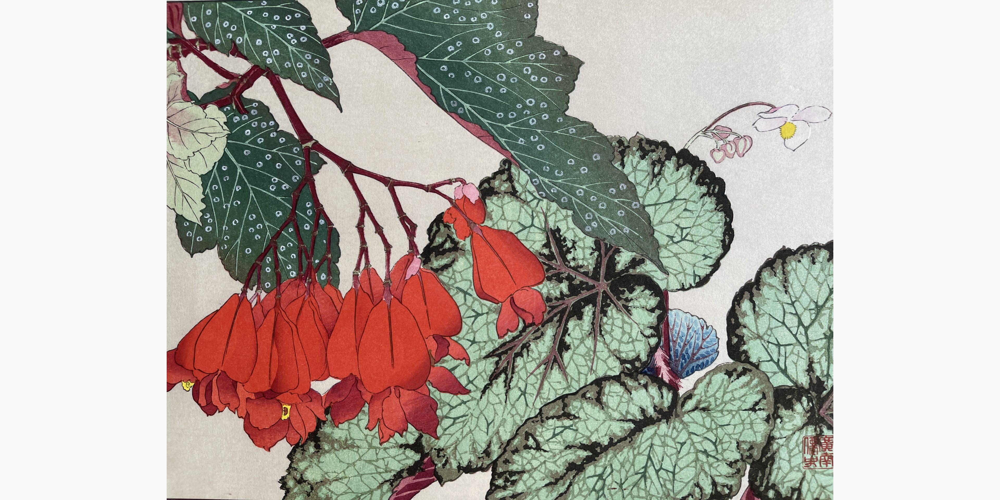 Japanese woodblock print - Tanigami Konan - Begonia