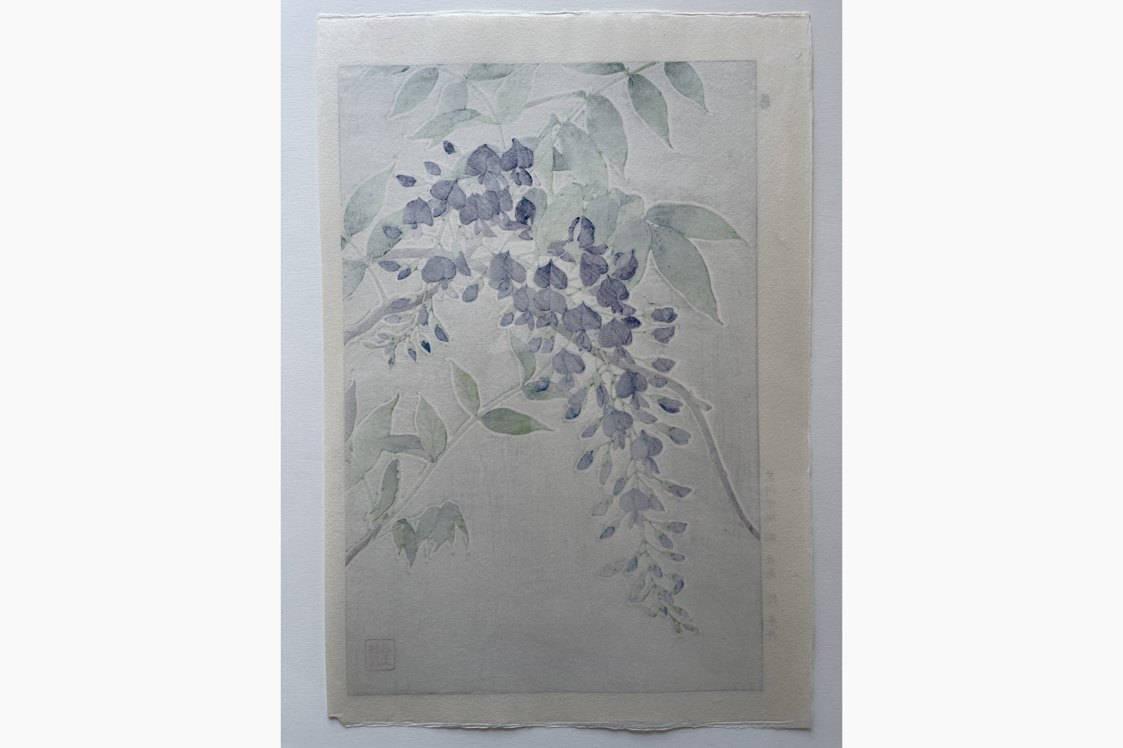 Original Japanese woodblock print - Kawarazaki Shodo - Wisteria