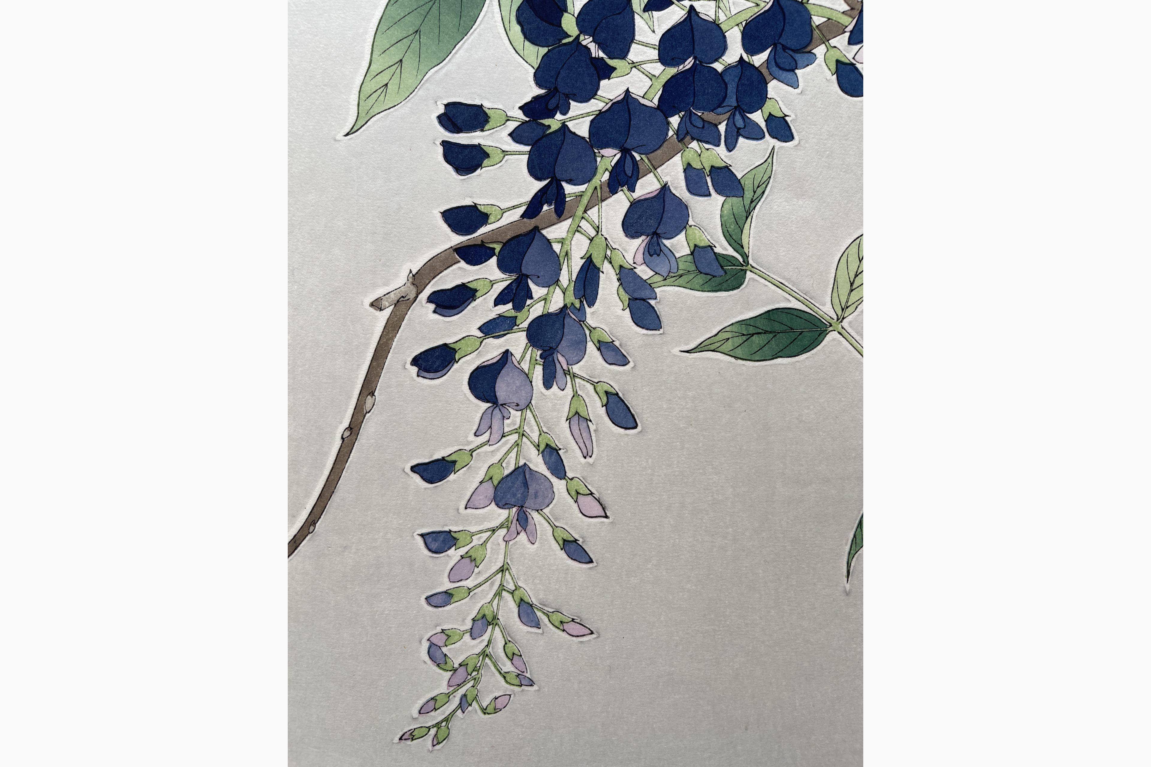 Original Japanese woodblock print - Kawarazaki Shodo - Wisteria