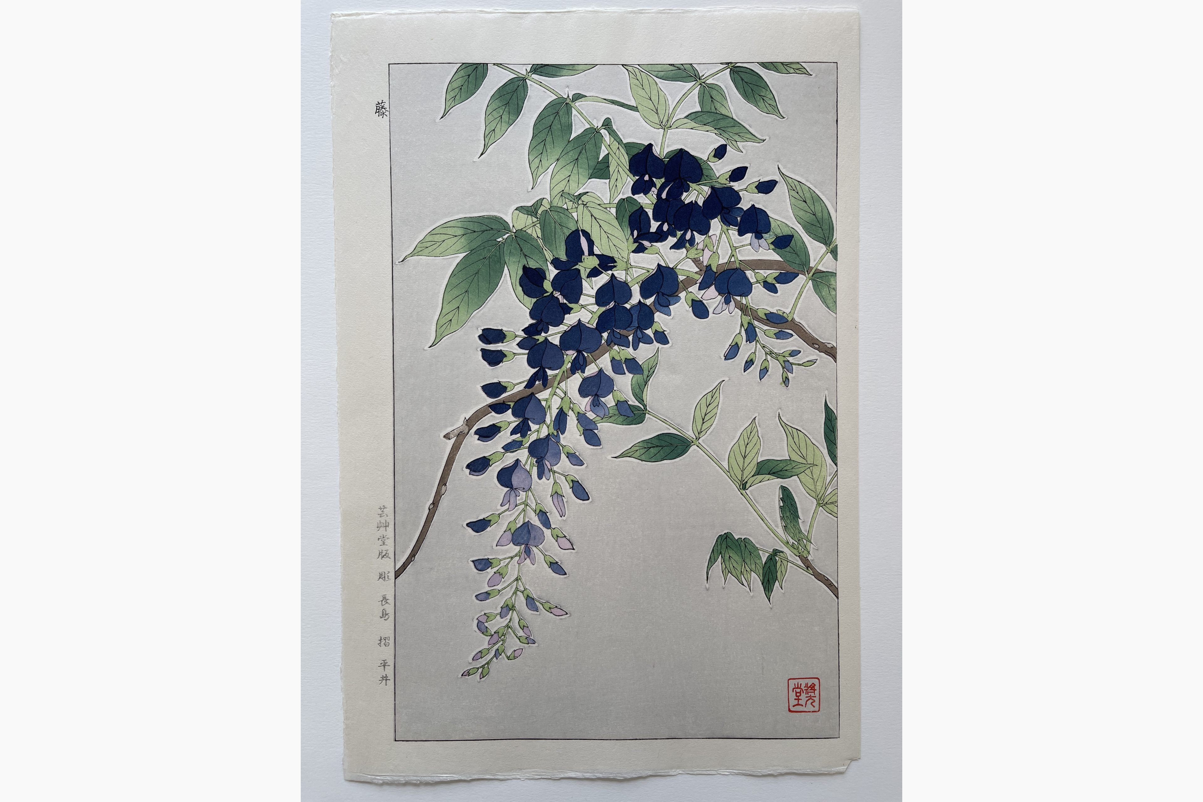 Original woodblock print - Kawarazaki Shodo - Wisteria