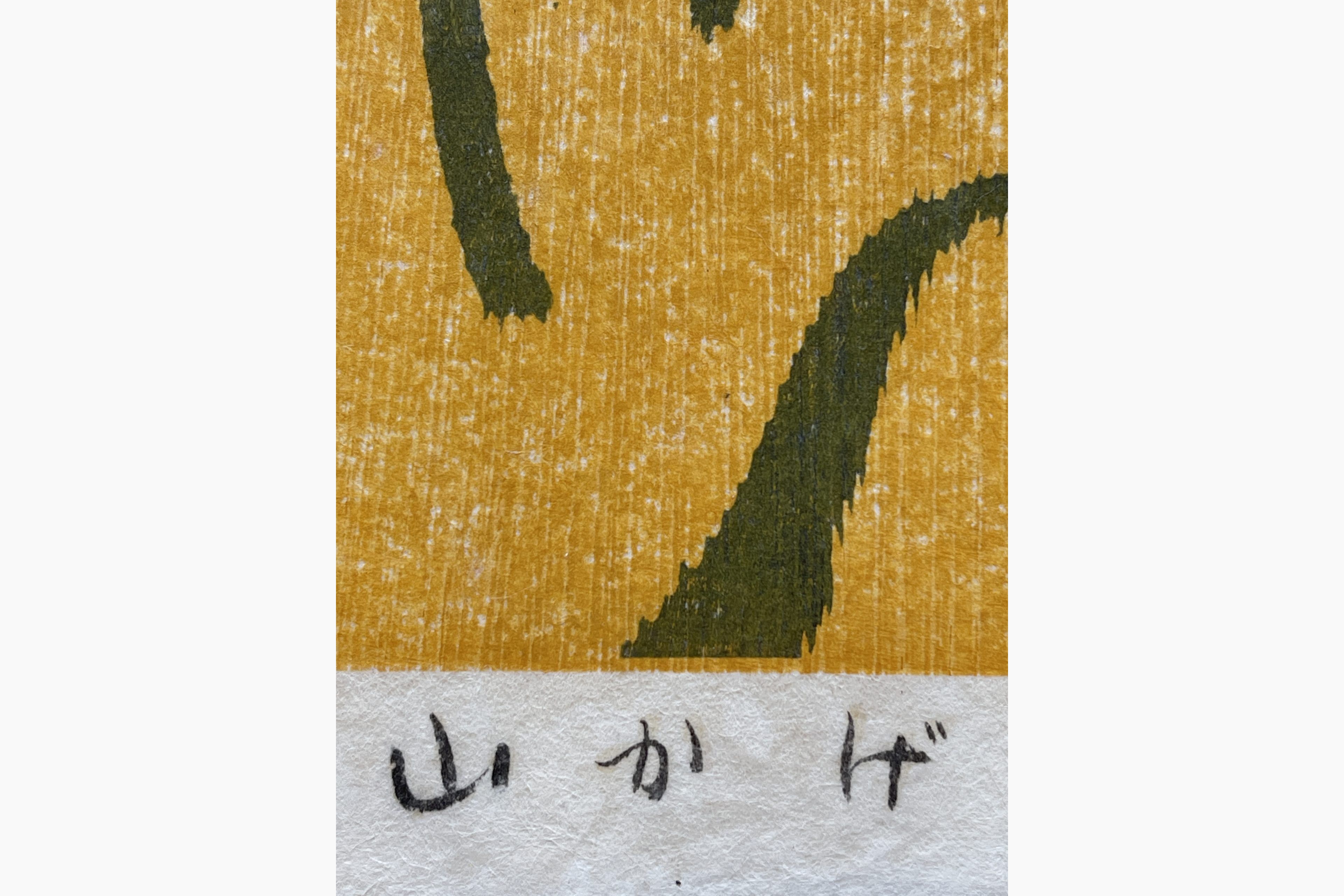 Woodblock print - Kasamatsu Shiro - Shadow of the Mountain
