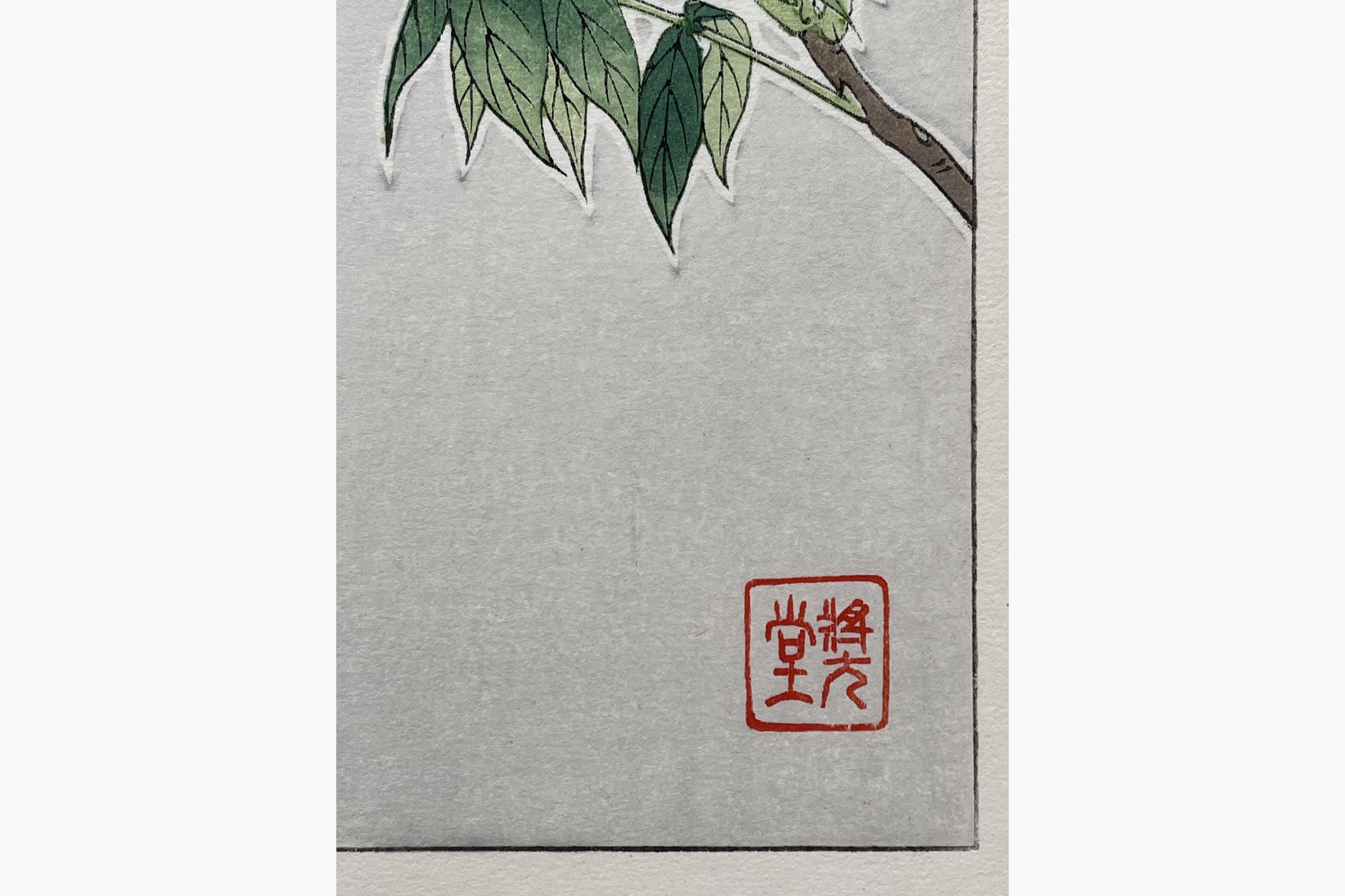 Woodblock print - Kawarazaki Shodo - Wisteria