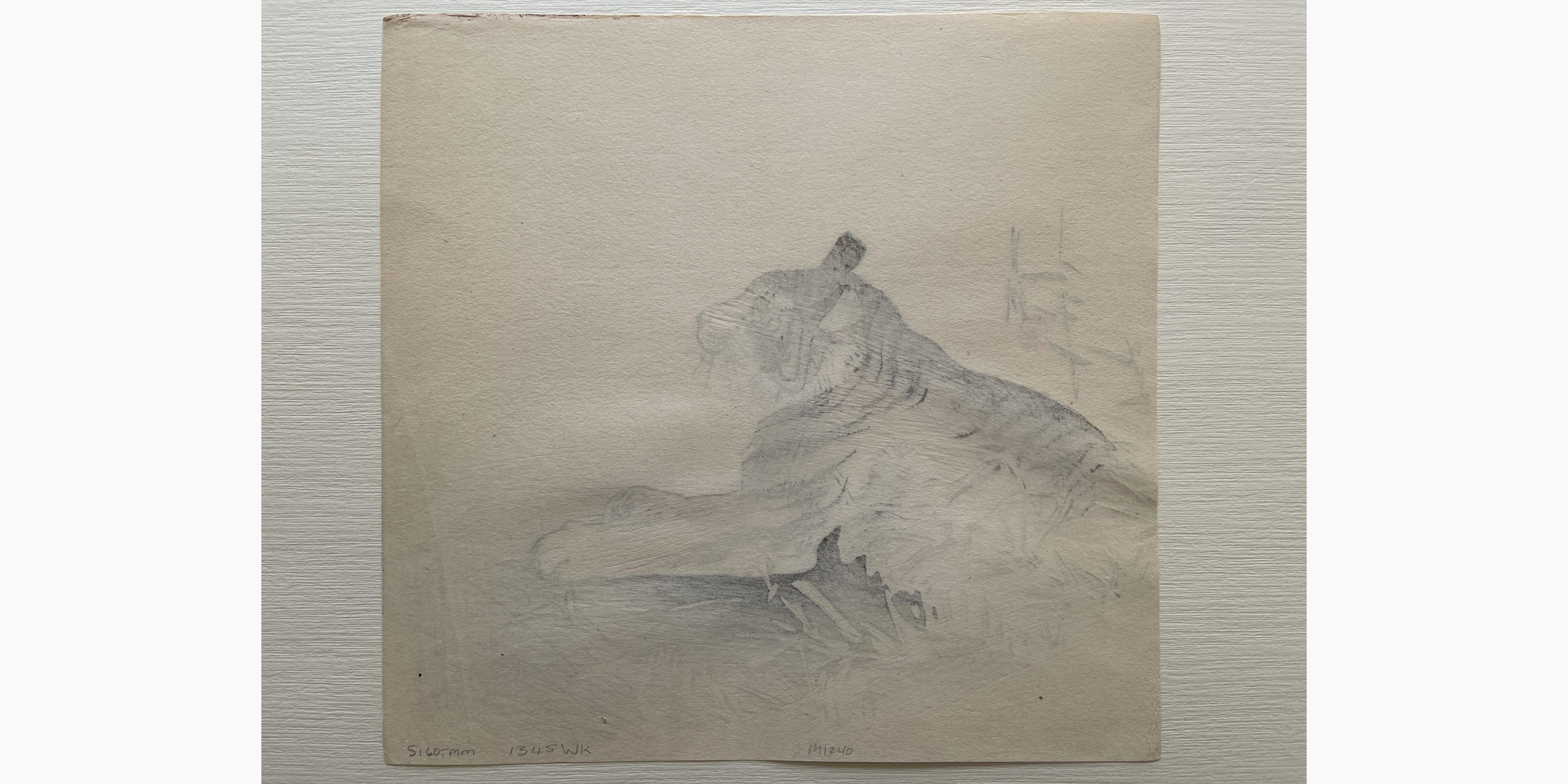 Original Japanese woodblock print - Gekko Ogata - Tiger