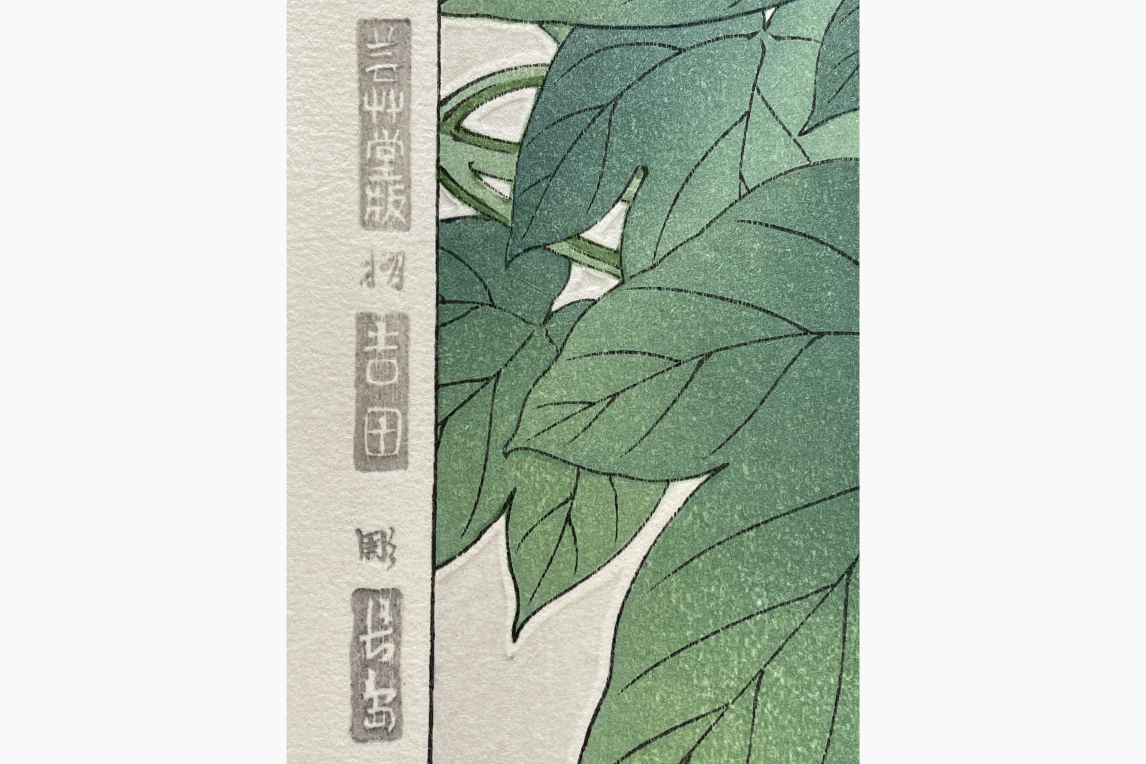 Japanese woodcut - Kawarazaki Shodo - Morning Glory