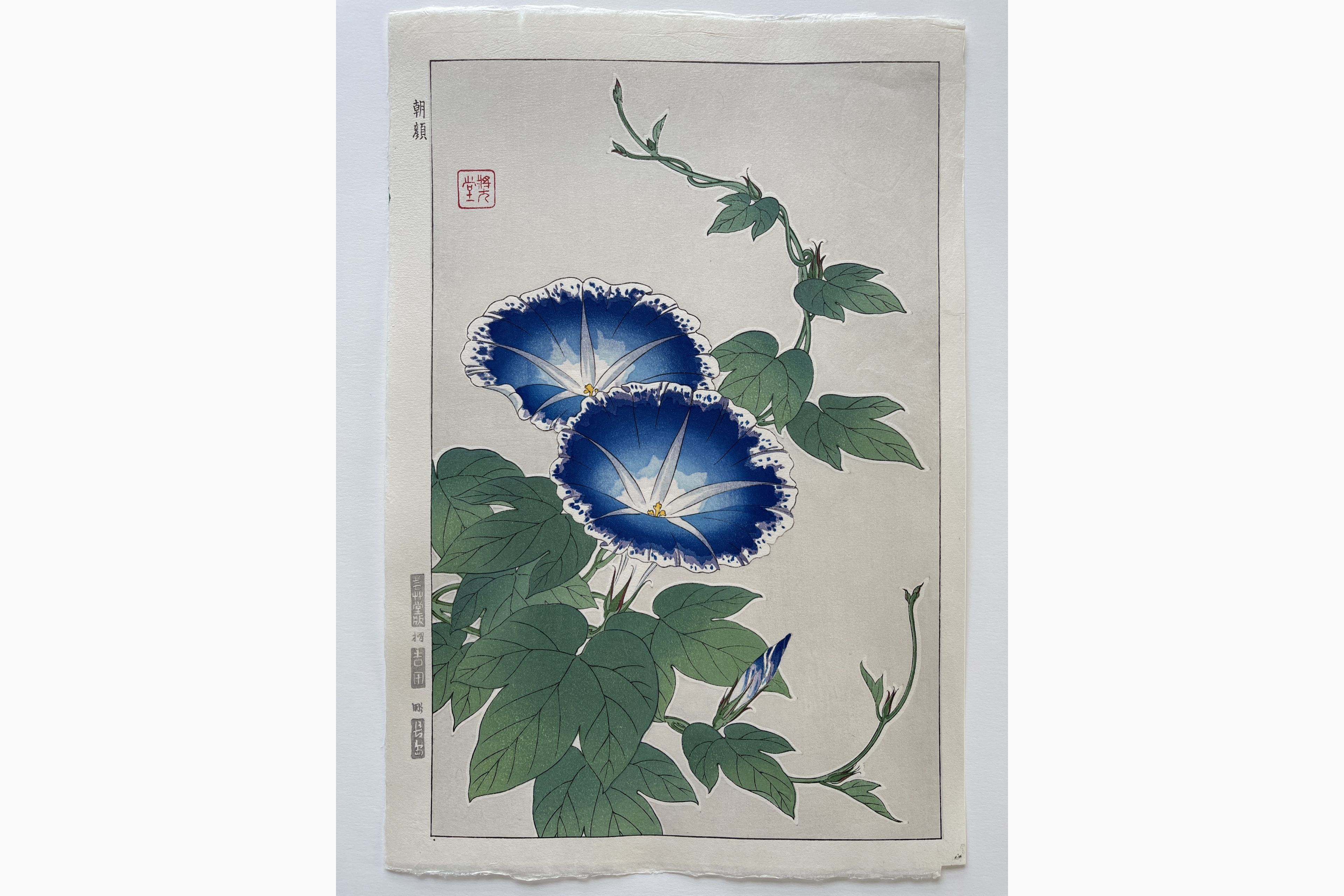 Original woodblock print - Kawarazaki Shodo - Morning Glory
