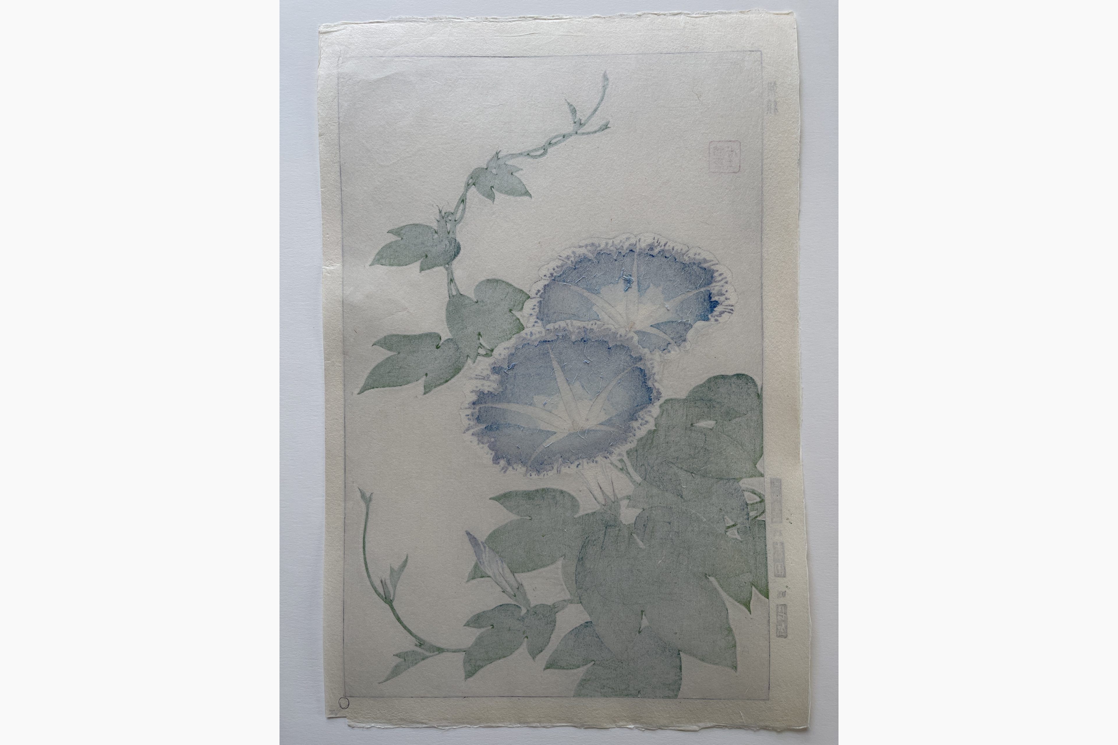 Woodblock print - Kawarazaki Shodo - Morning Glory