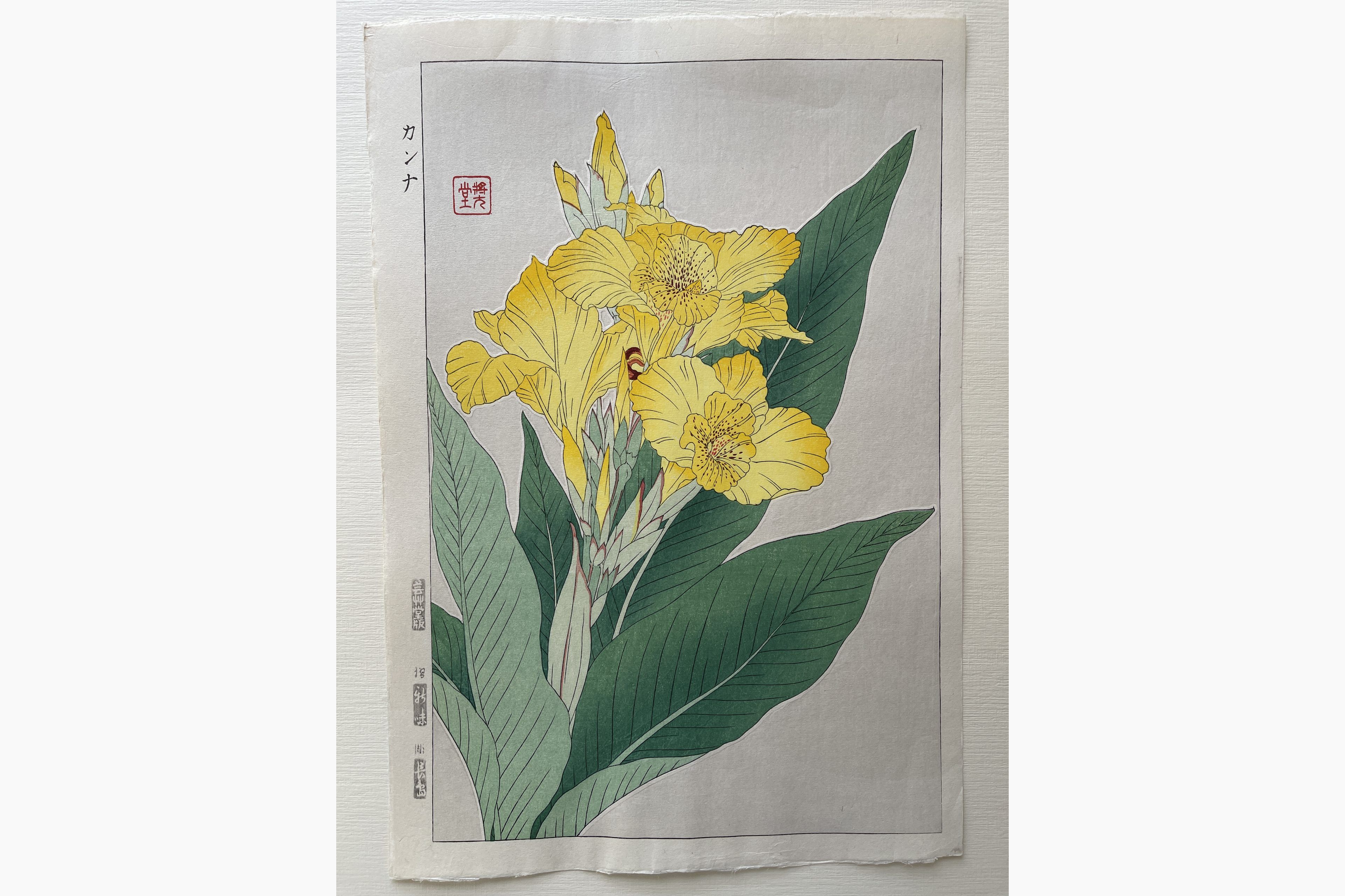 Japanese woodblock print - Kawarazaki Shodo - Canna