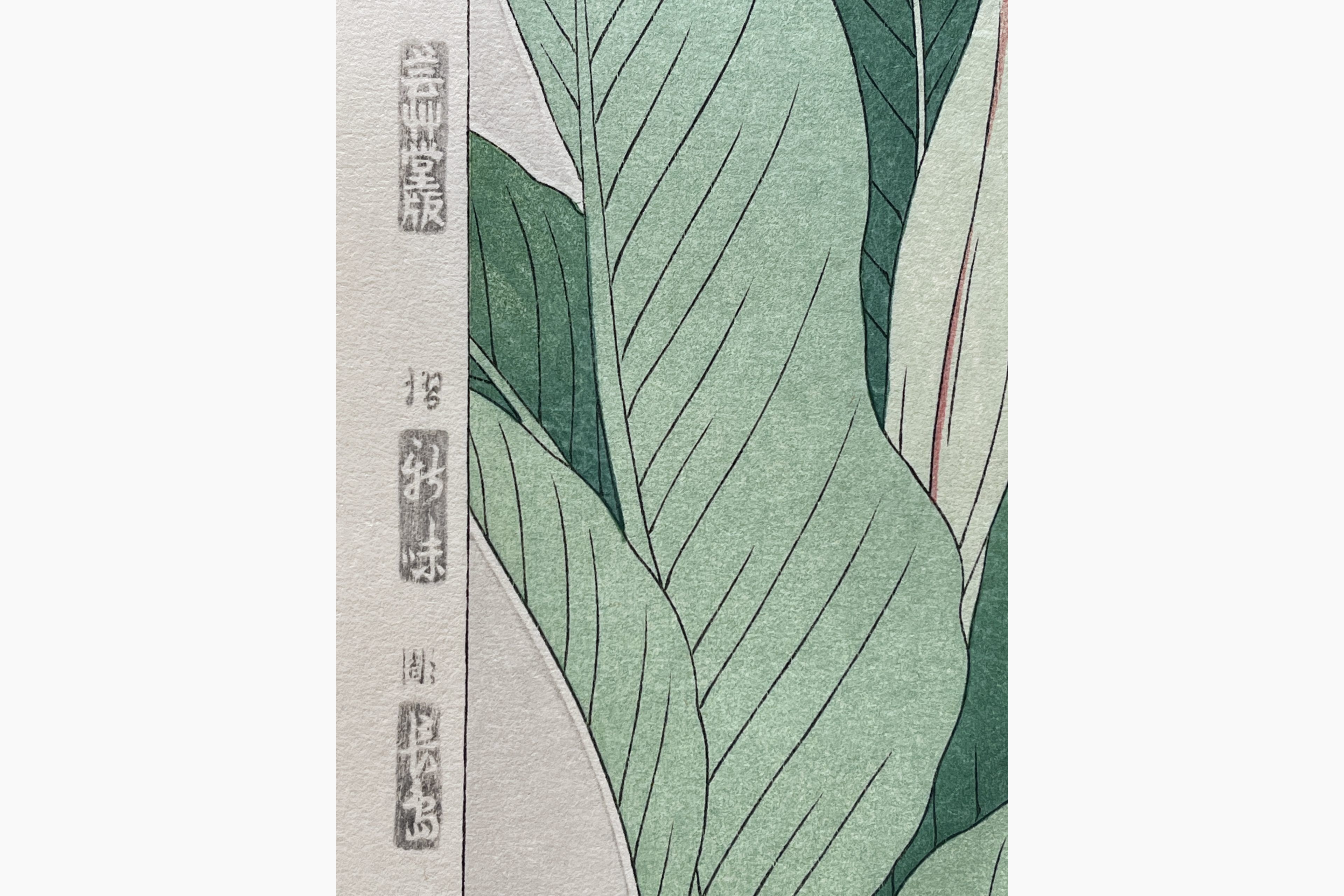 Japanese woodcut - Kawarazaki Shodo - Canna