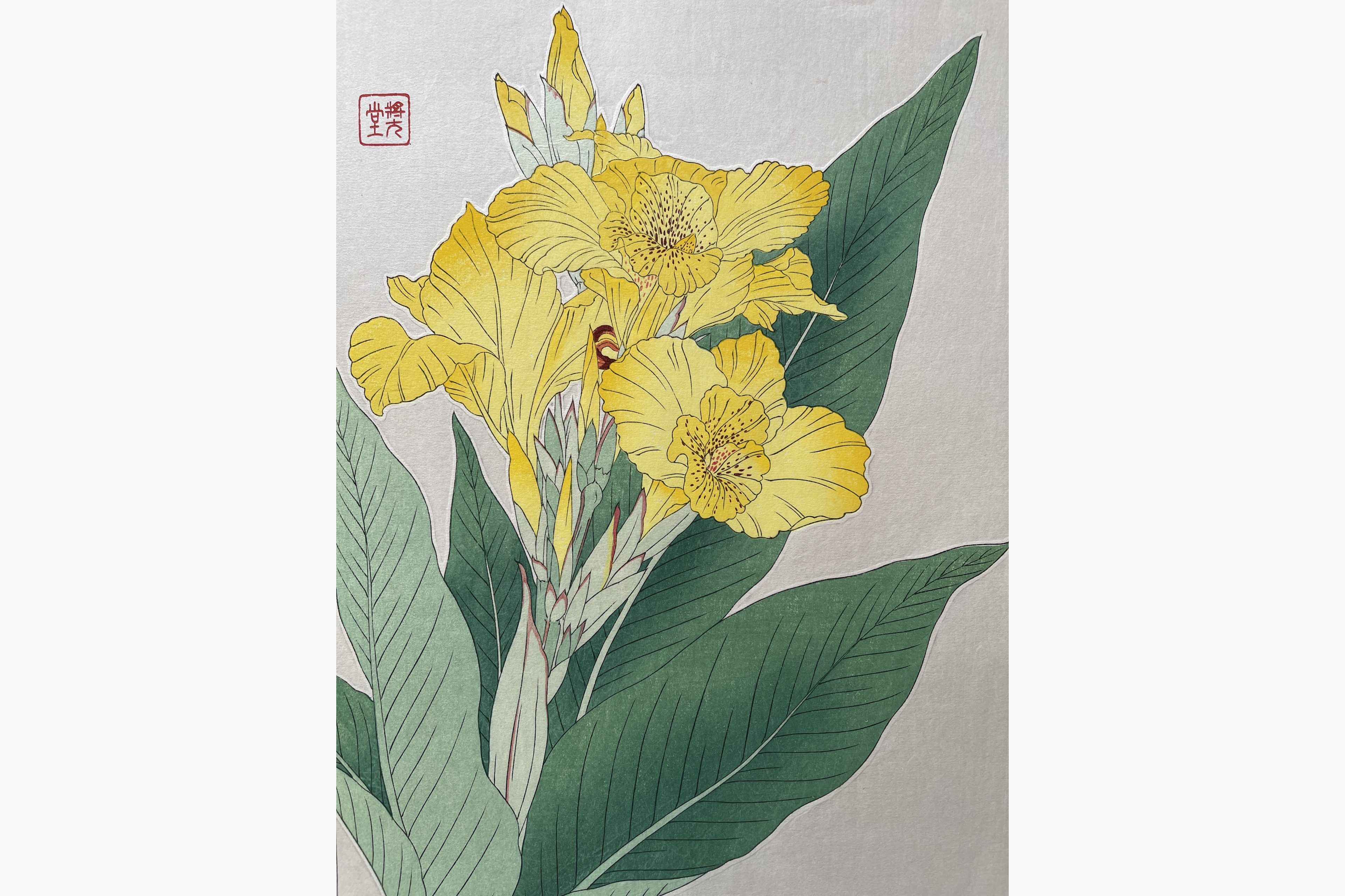 Original woodblock print - Kawarazaki Shodo - Canna
