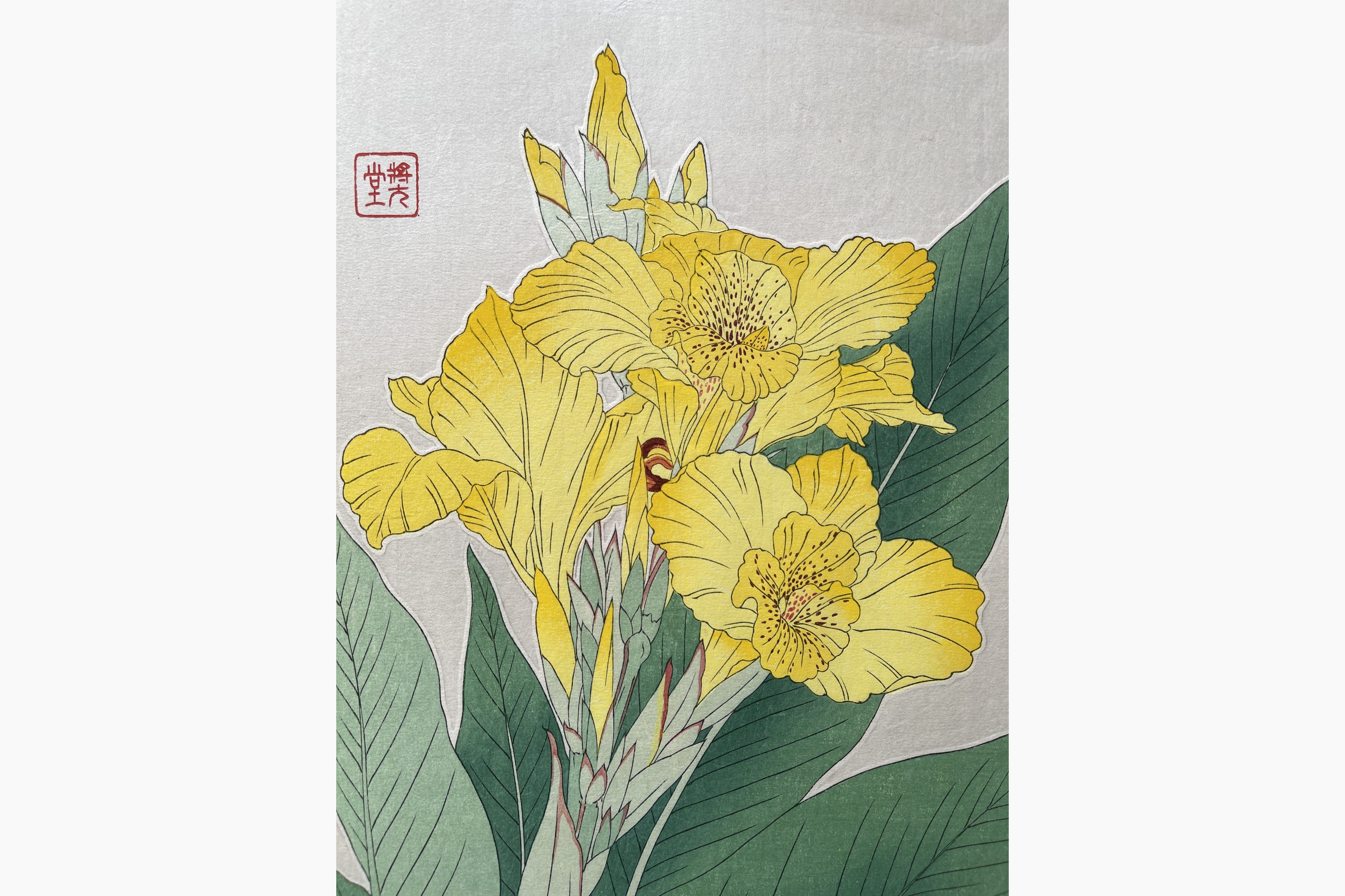 Woodblock print - Kawarazaki Shodo - Canna