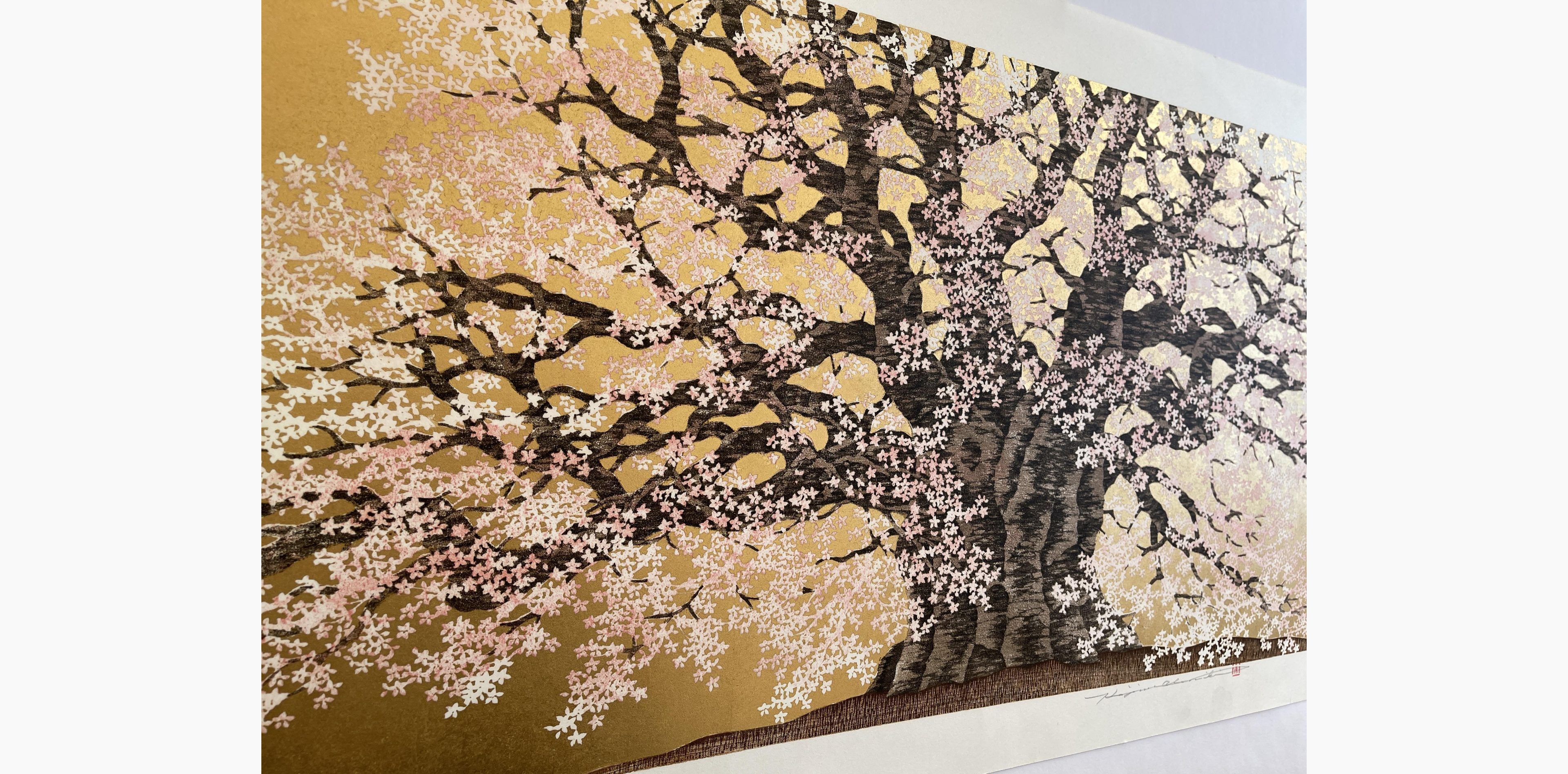 Japanese print - Hajime Namiki - Daigo Sakura