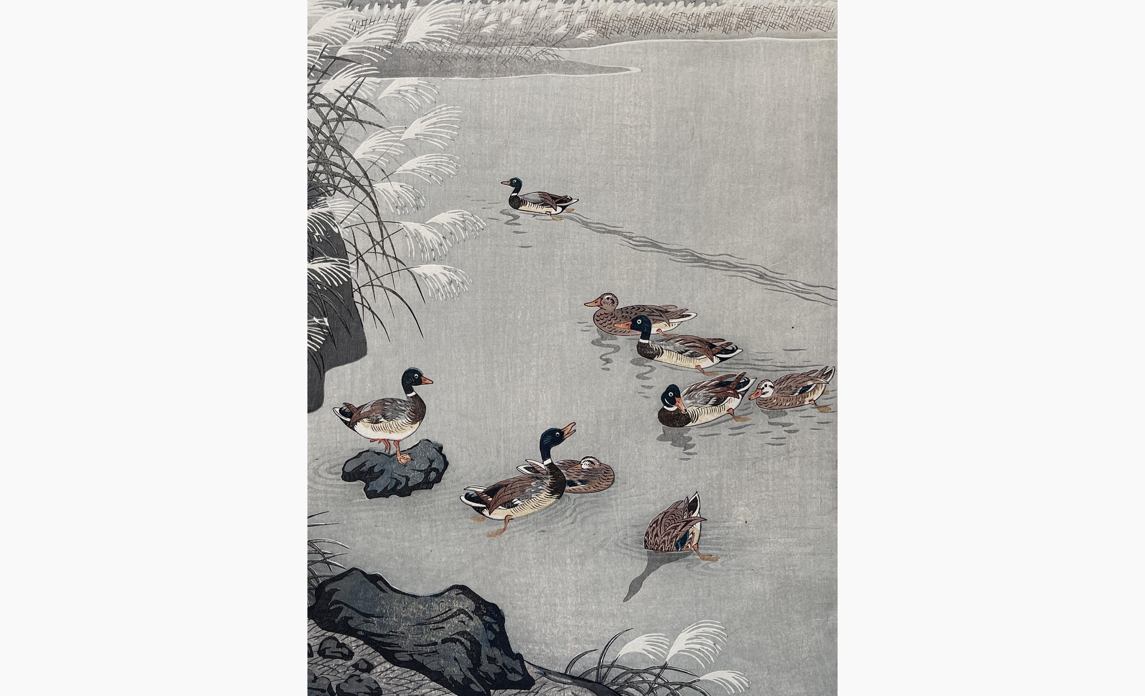 Japanese print - Ohara Koson - Mallards in a Coastal Scene