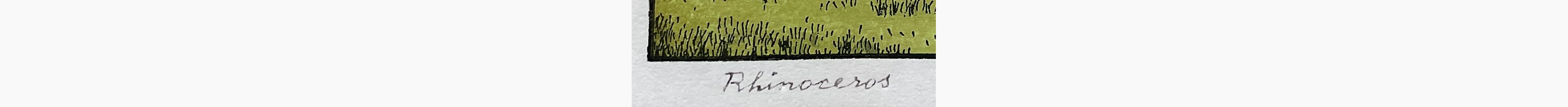 Japanese print - Toshi Yoshida - Rhinoceros
