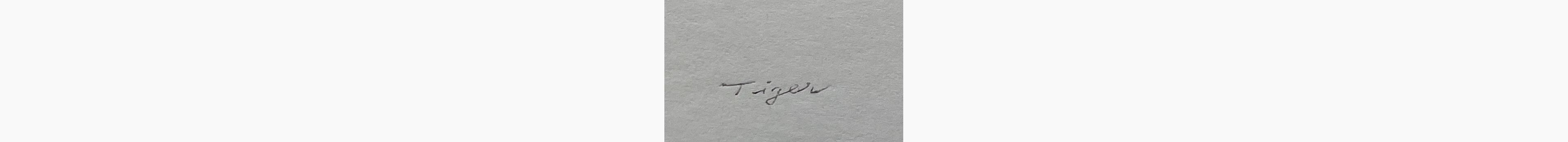 Japanese print - Toshi Yoshida - Tiger