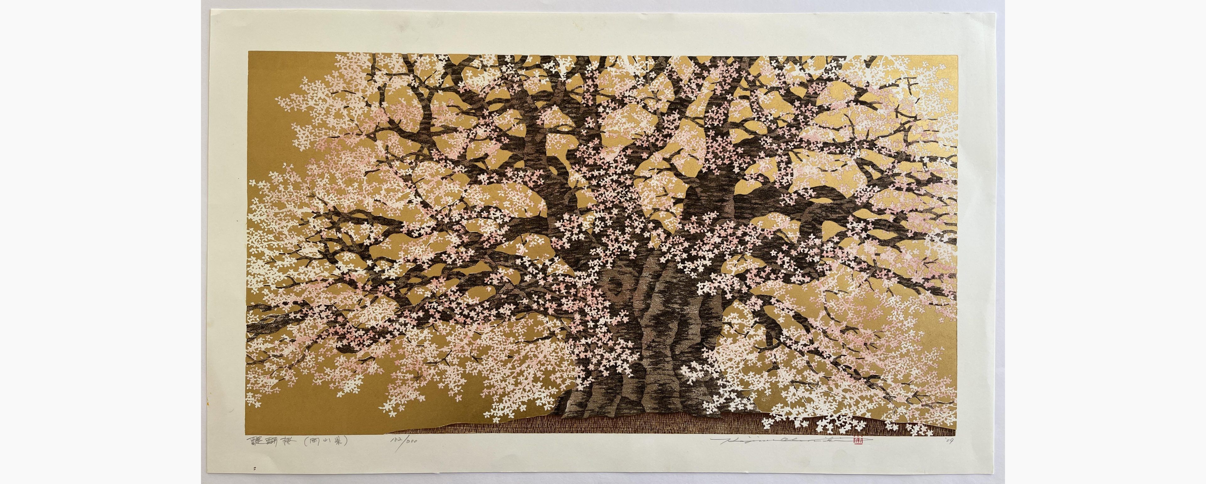Japanese woodblock print - Hajime Namiki - Daigo Sakura