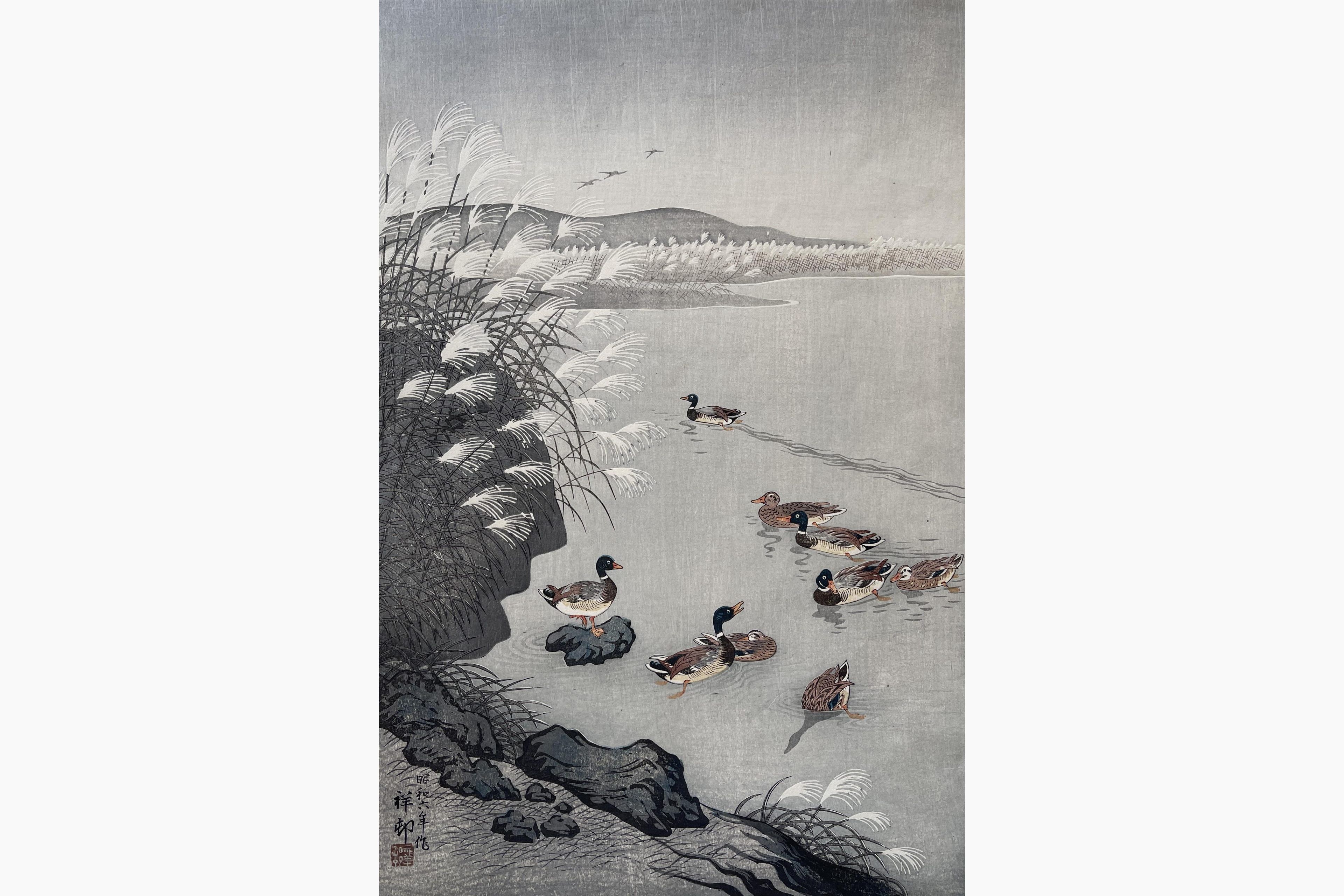 Japanese woodcut - Ohara Koson - Mallards in a Coastal Scene