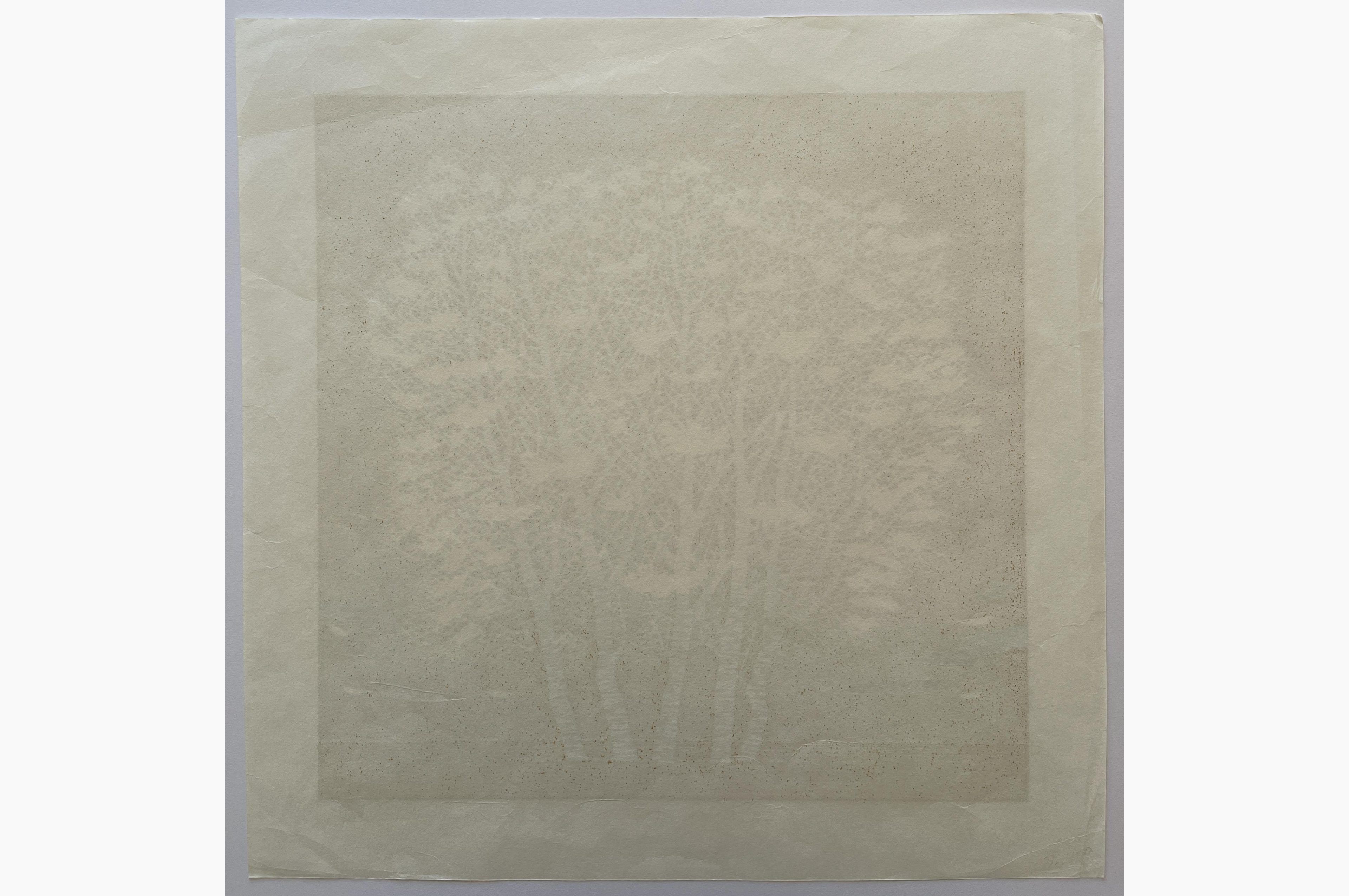 Original Japanese woodblock print - Nishida Tadashige - White Clump of Trees