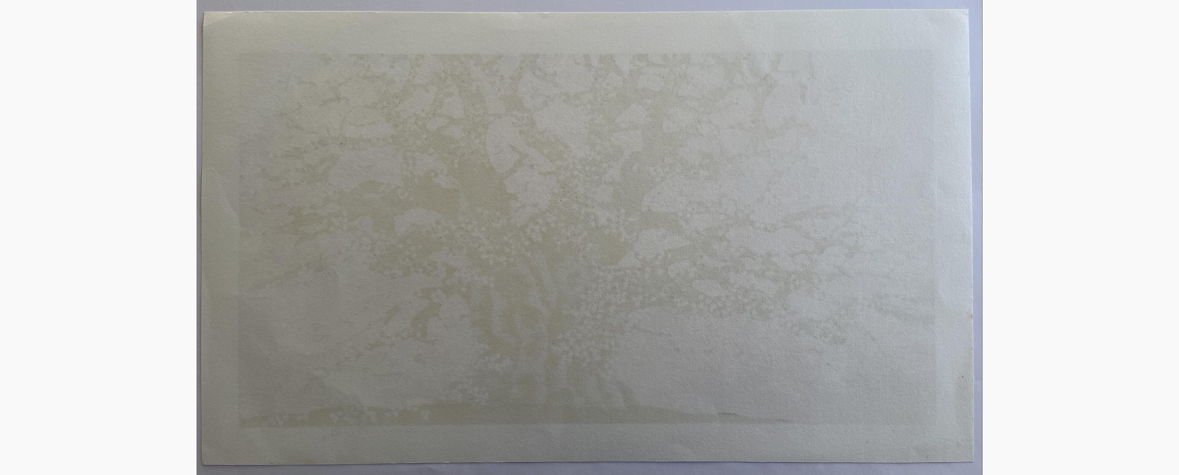 Woodblock print - Hajime Namiki - Daigo Sakura