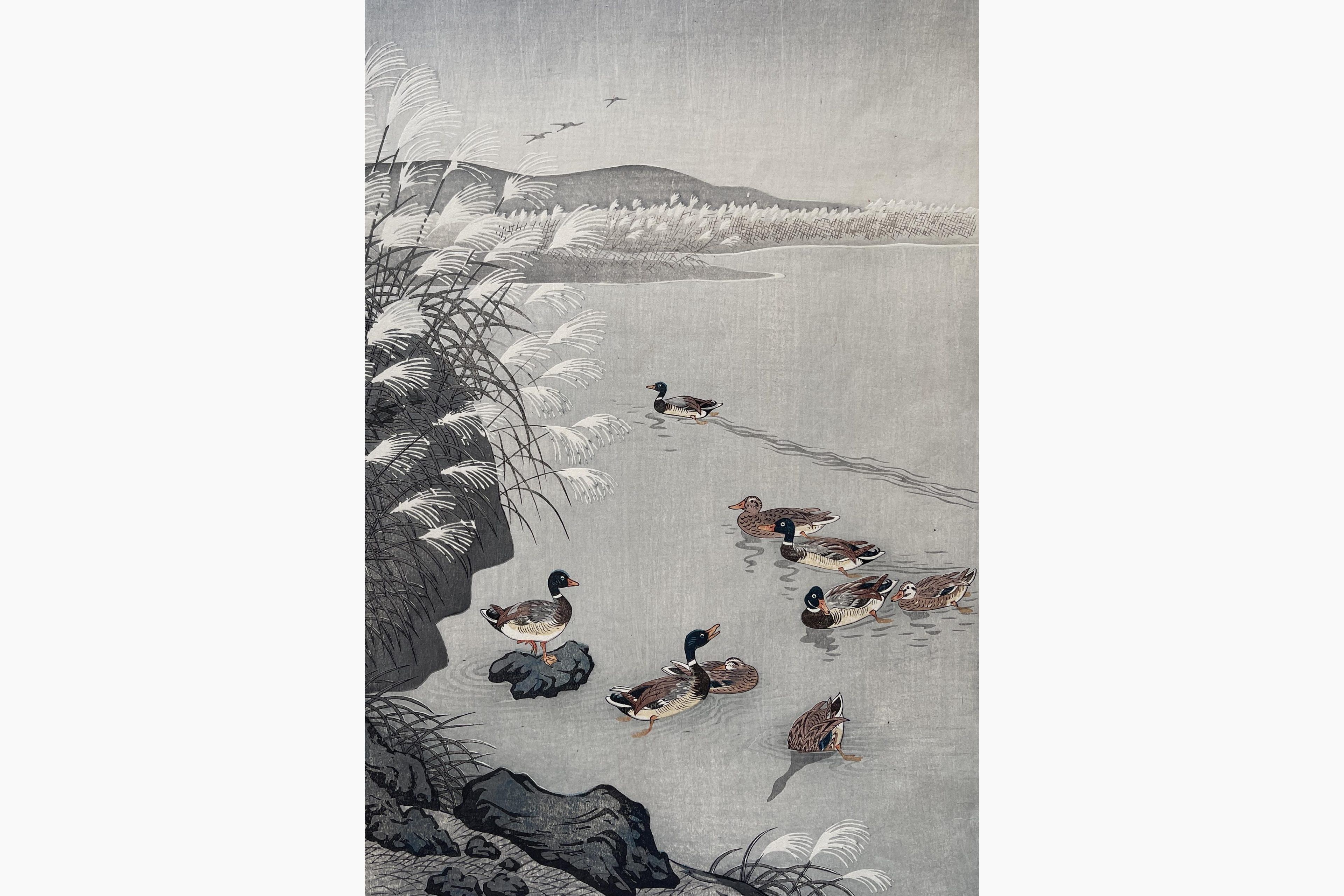 Woodblock print - Ohara Koson - Mallards in a Coastal Scene