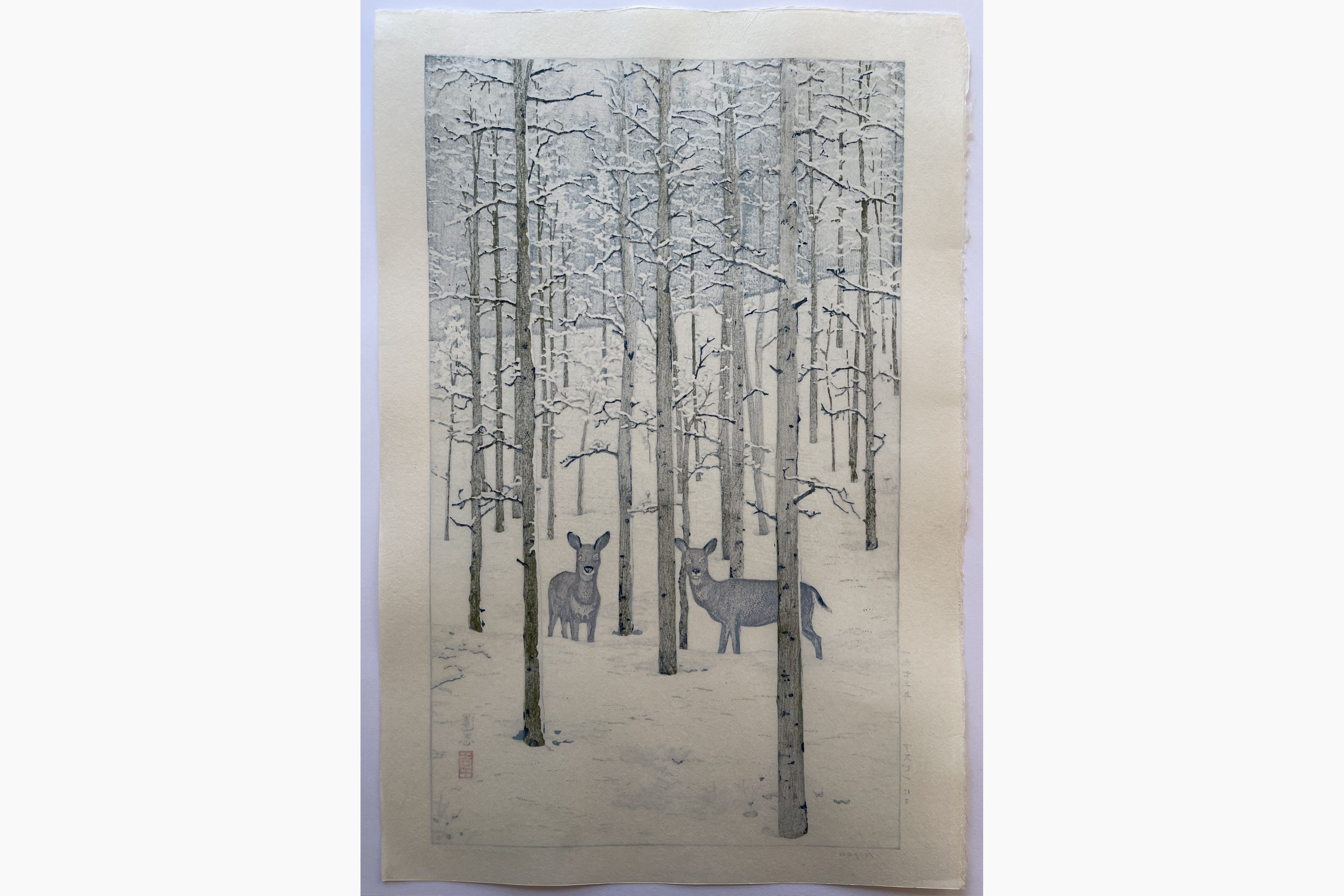 Woodblock print - Toshi Yoshida - Aspen nite