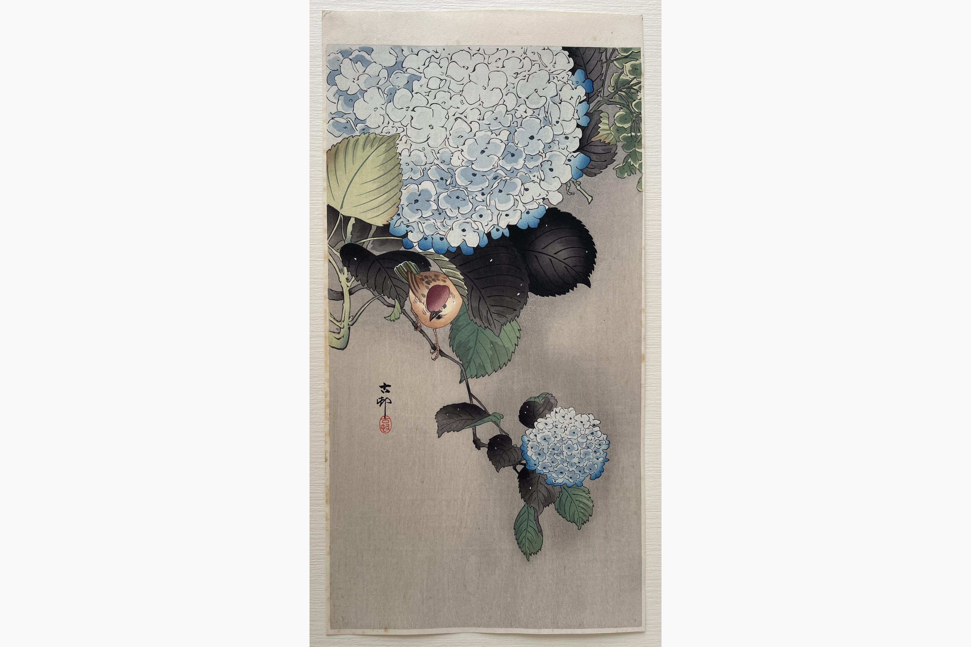 Japanese woodblock print - Ohara Koson - Sparrow on Hortensia