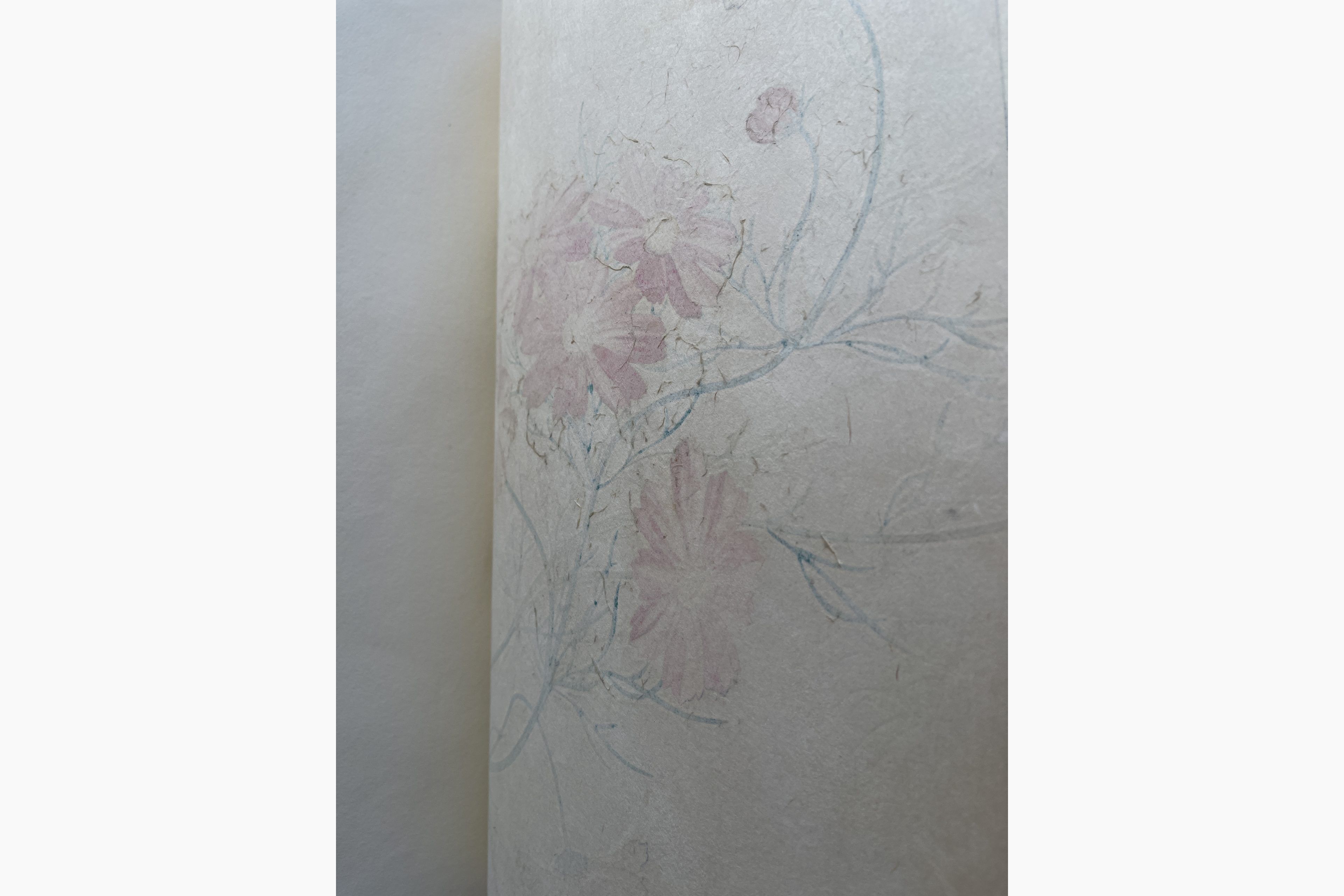 Japanese woodcut - Kawarazaki Shodo - Cosmos