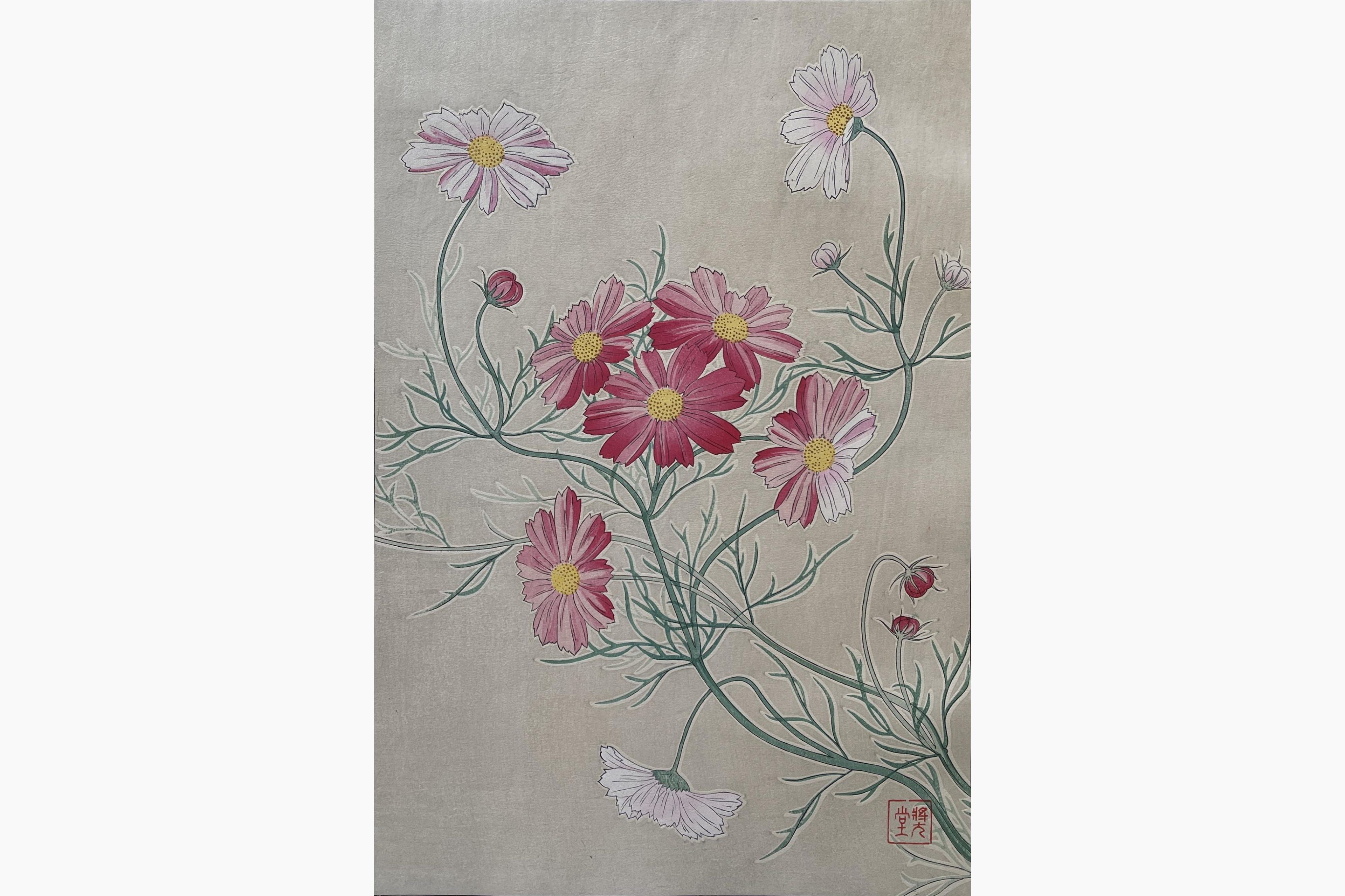 Original woodblock print - Kawarazaki Shodo - Cosmos