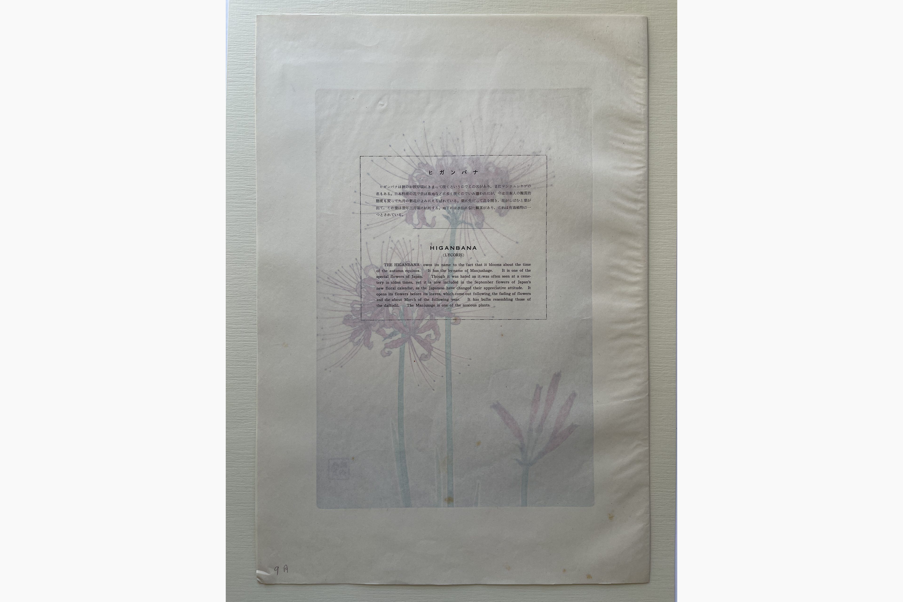 Woodblock print - Kawarazaki Shodo - Hurricane Lily
