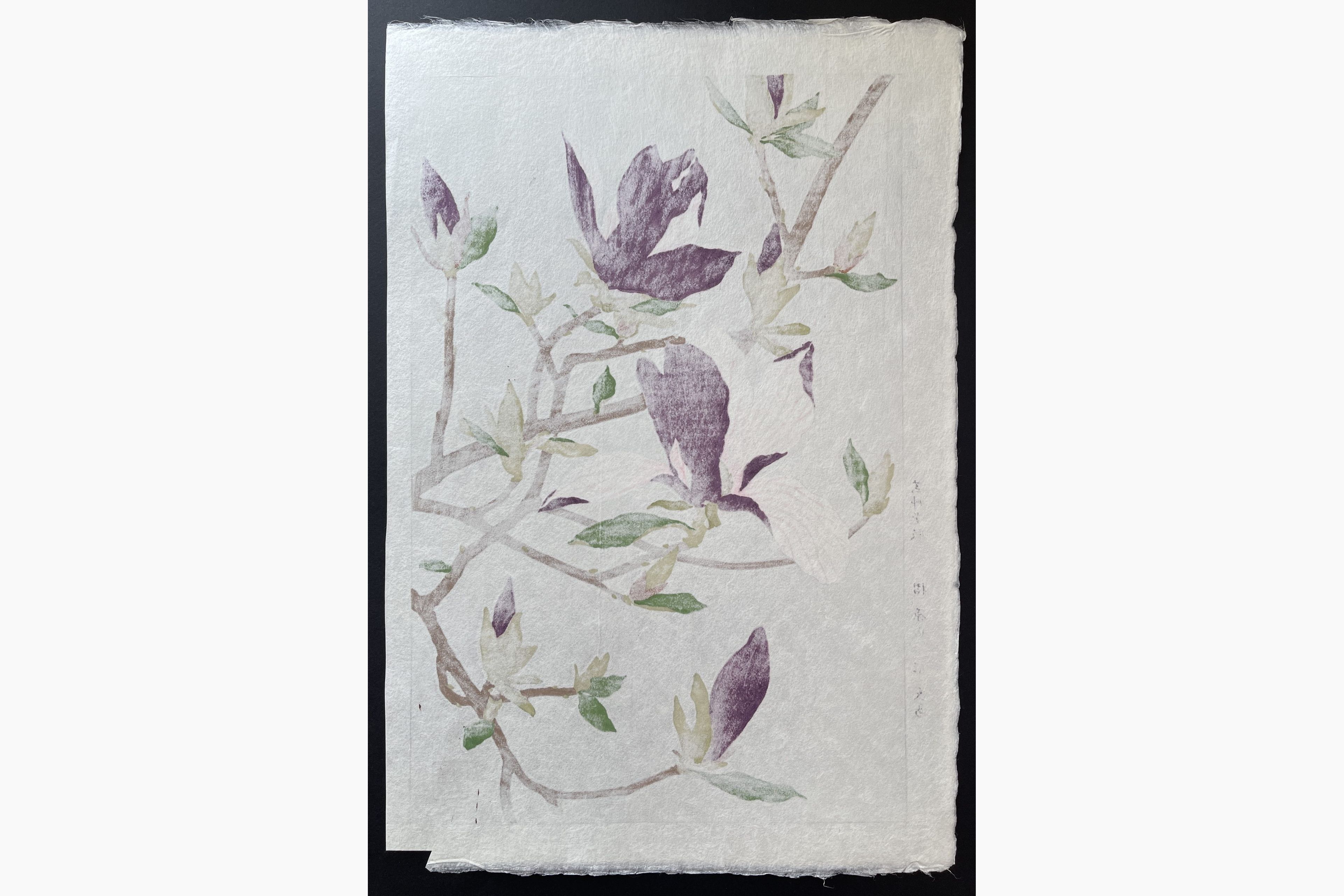 Japanese print - Kawarazaki Shodo - Magnolia