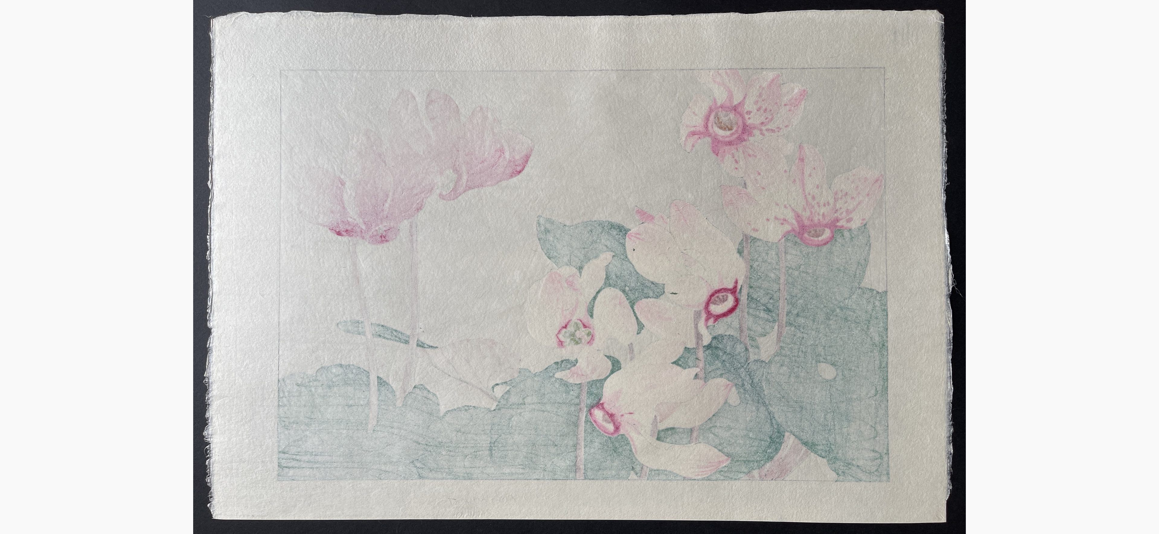 Japanese print - Tanigami Konan - Cyclamen